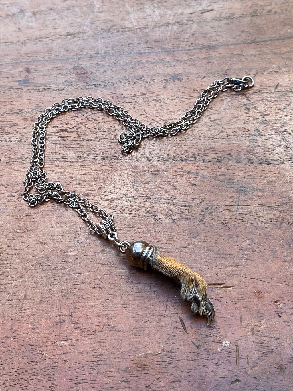 Squirrel Paw on a Chain Necklace