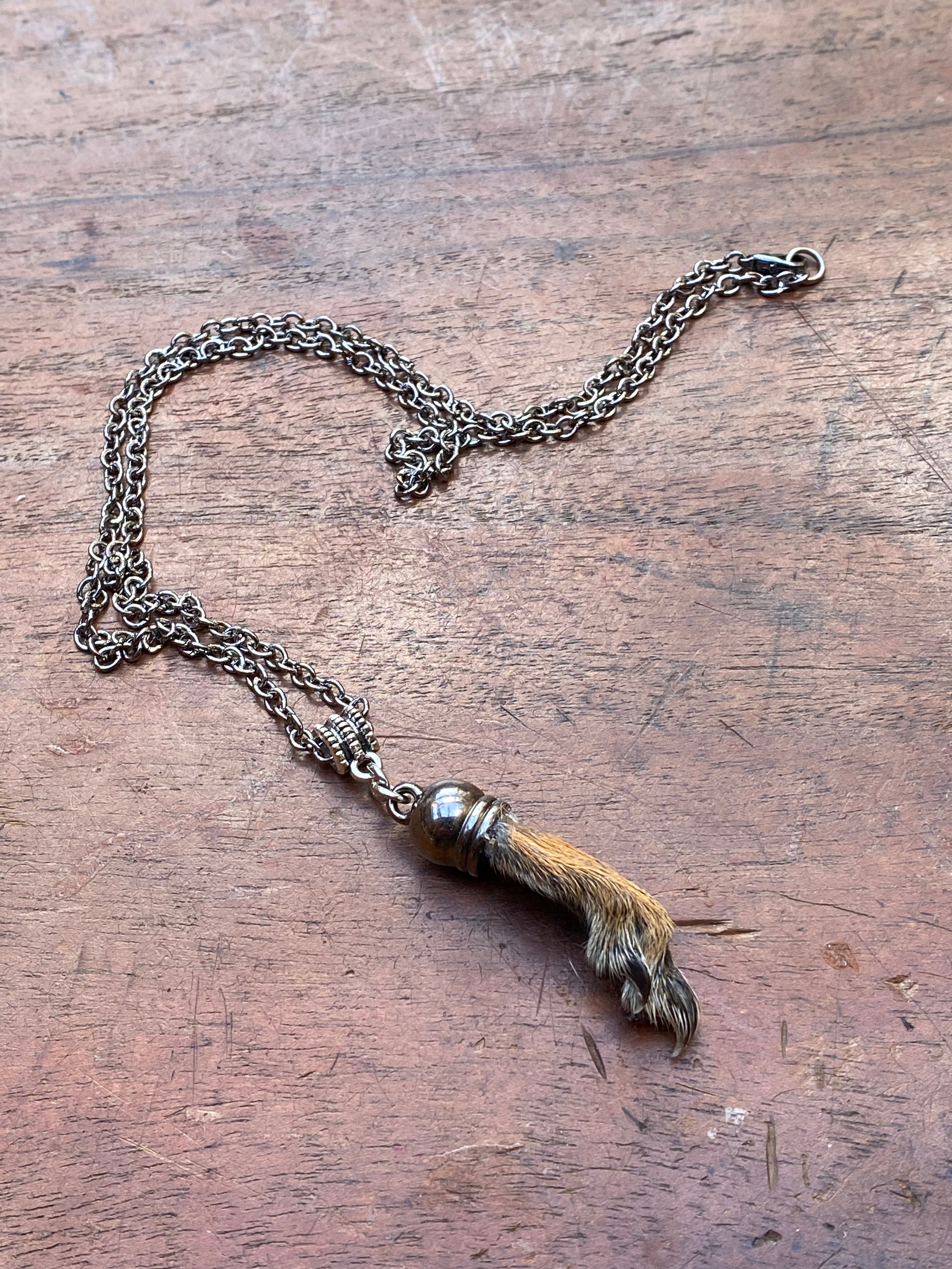 Squirrel Paw on a Chain Necklace