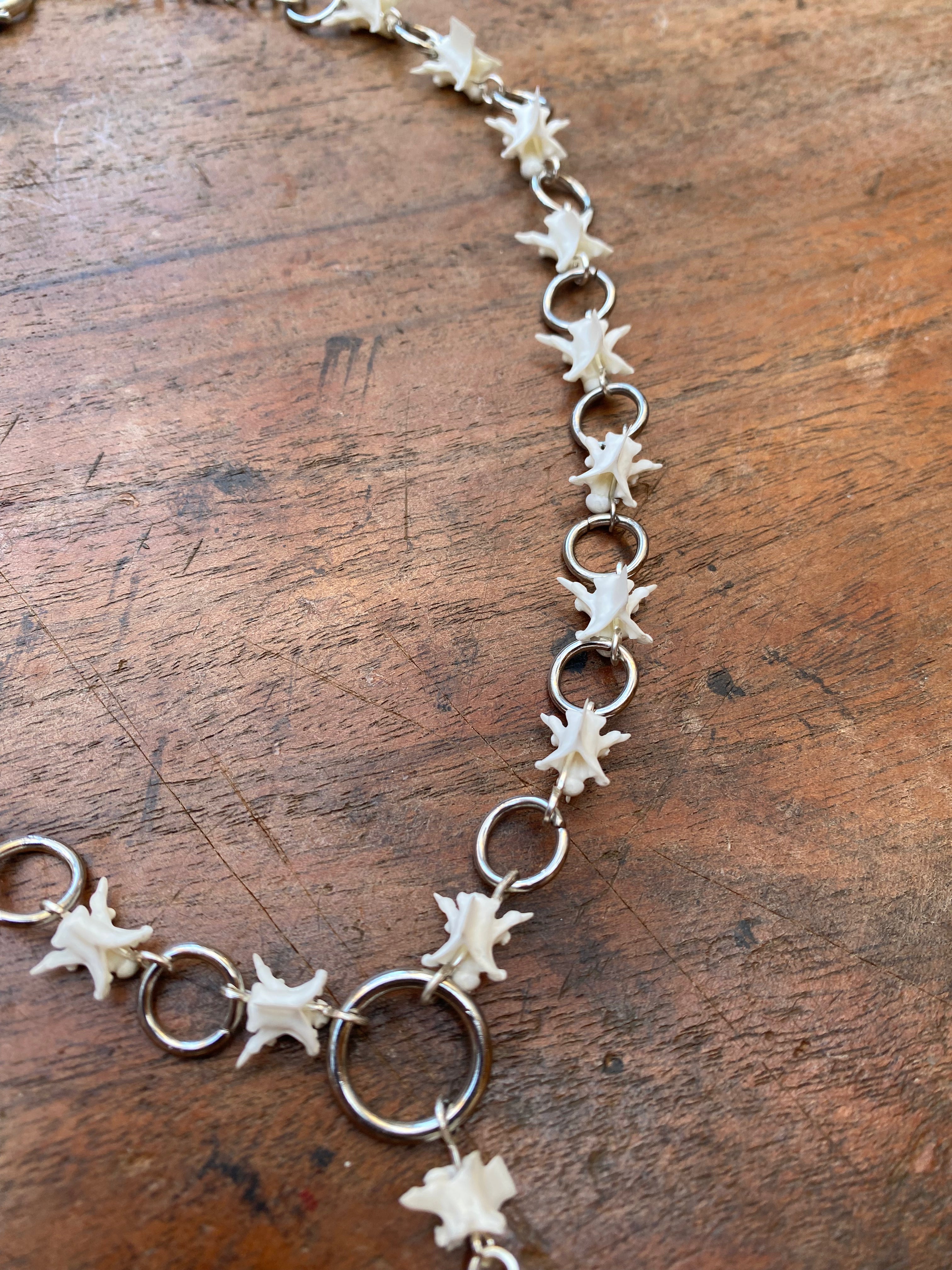 Snake Vertebrae and Steel Rings Necklace