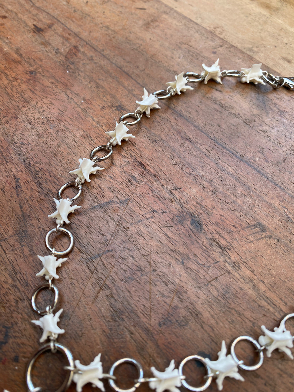 Snake Vertebrae and Steel Rings Necklace