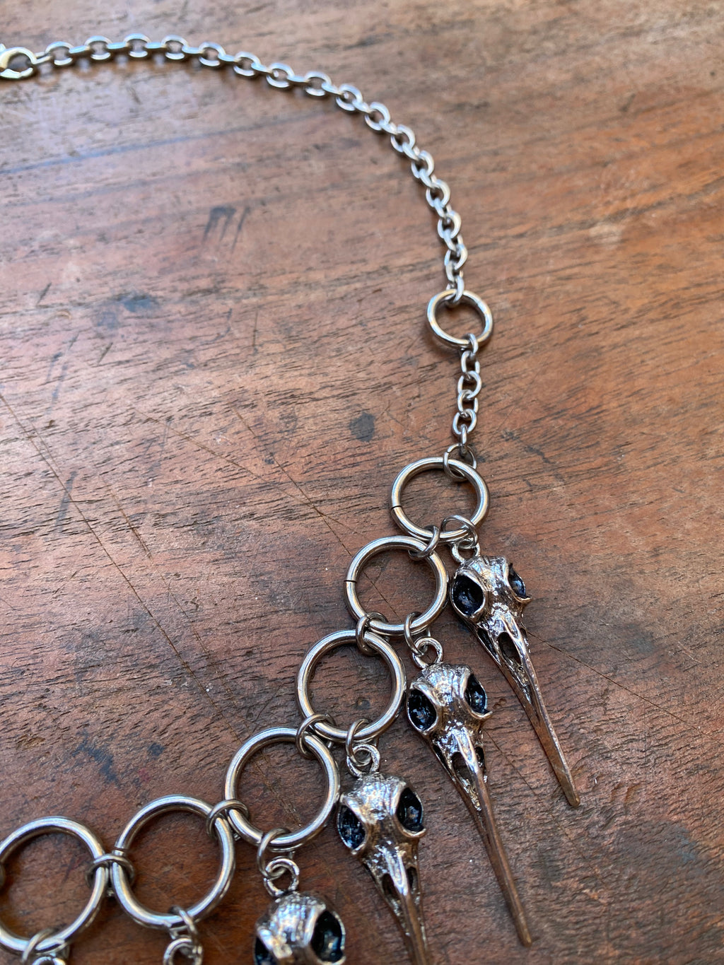 Bird Skull Charms and Steel Rings Necklace