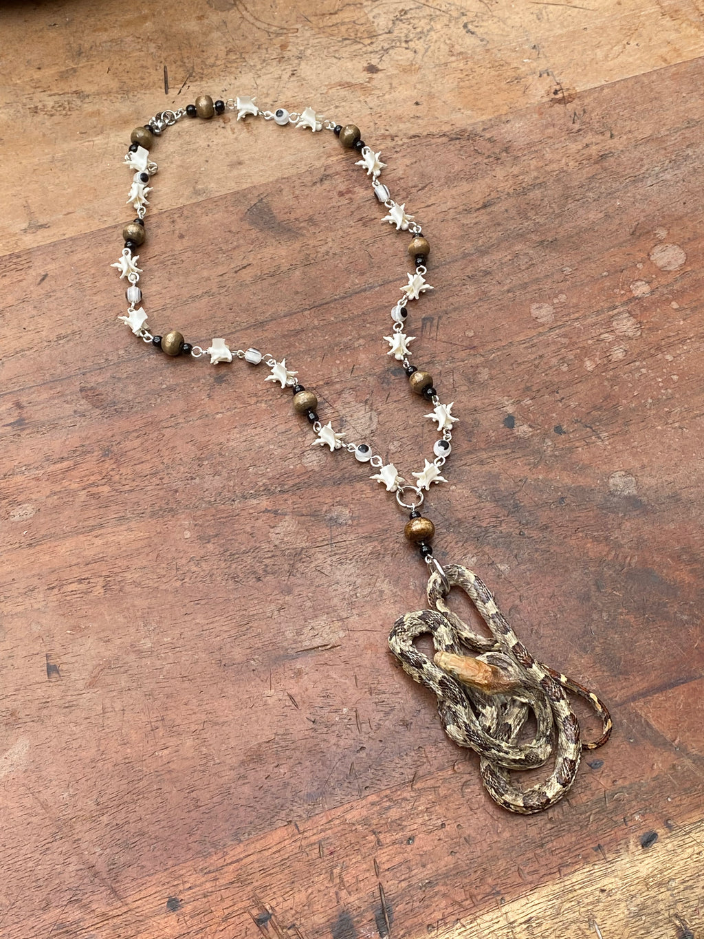 Taxidermy Snake and Snake Vertebrae Necklace