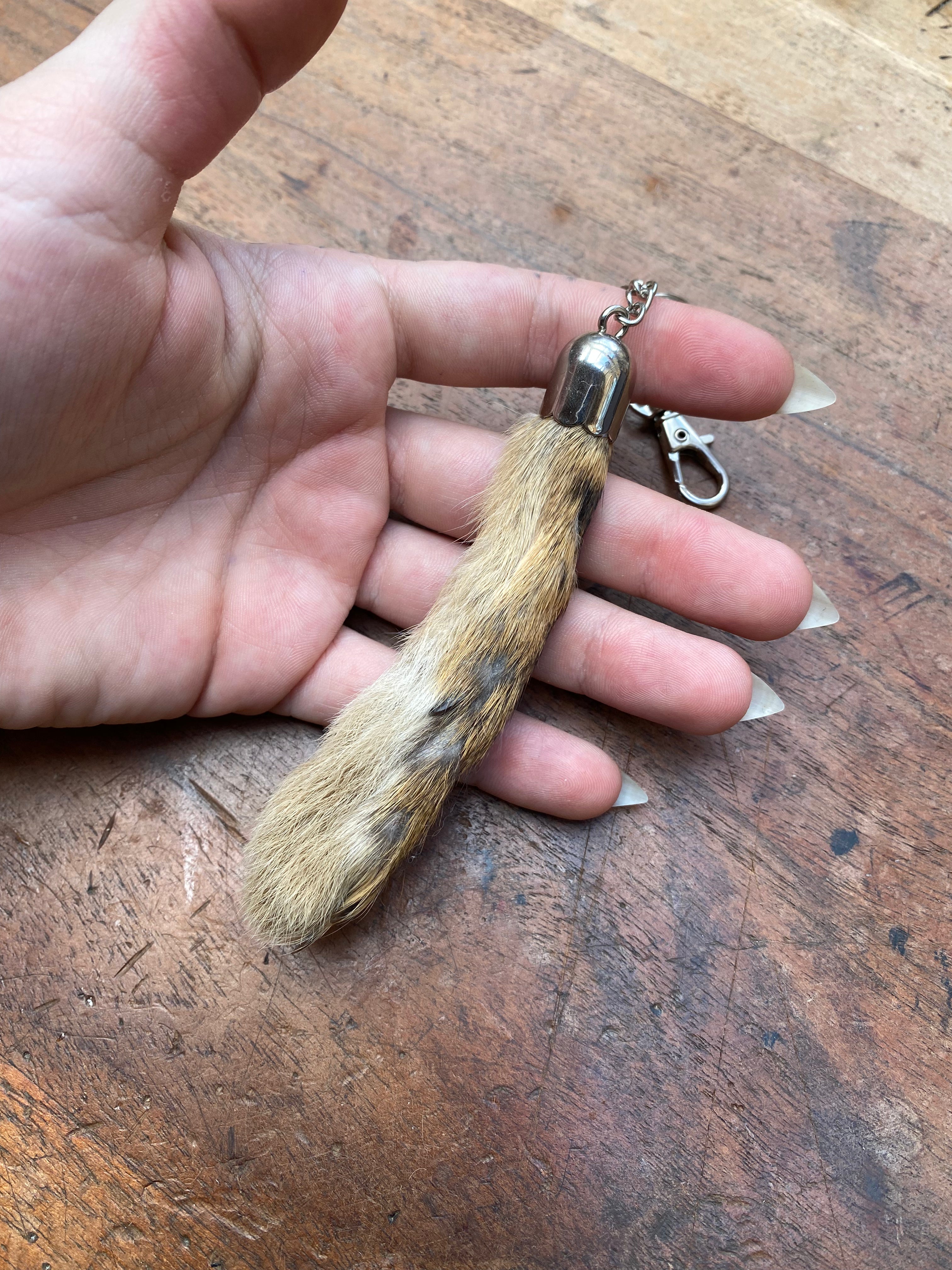 Rabbit Foot Keychain