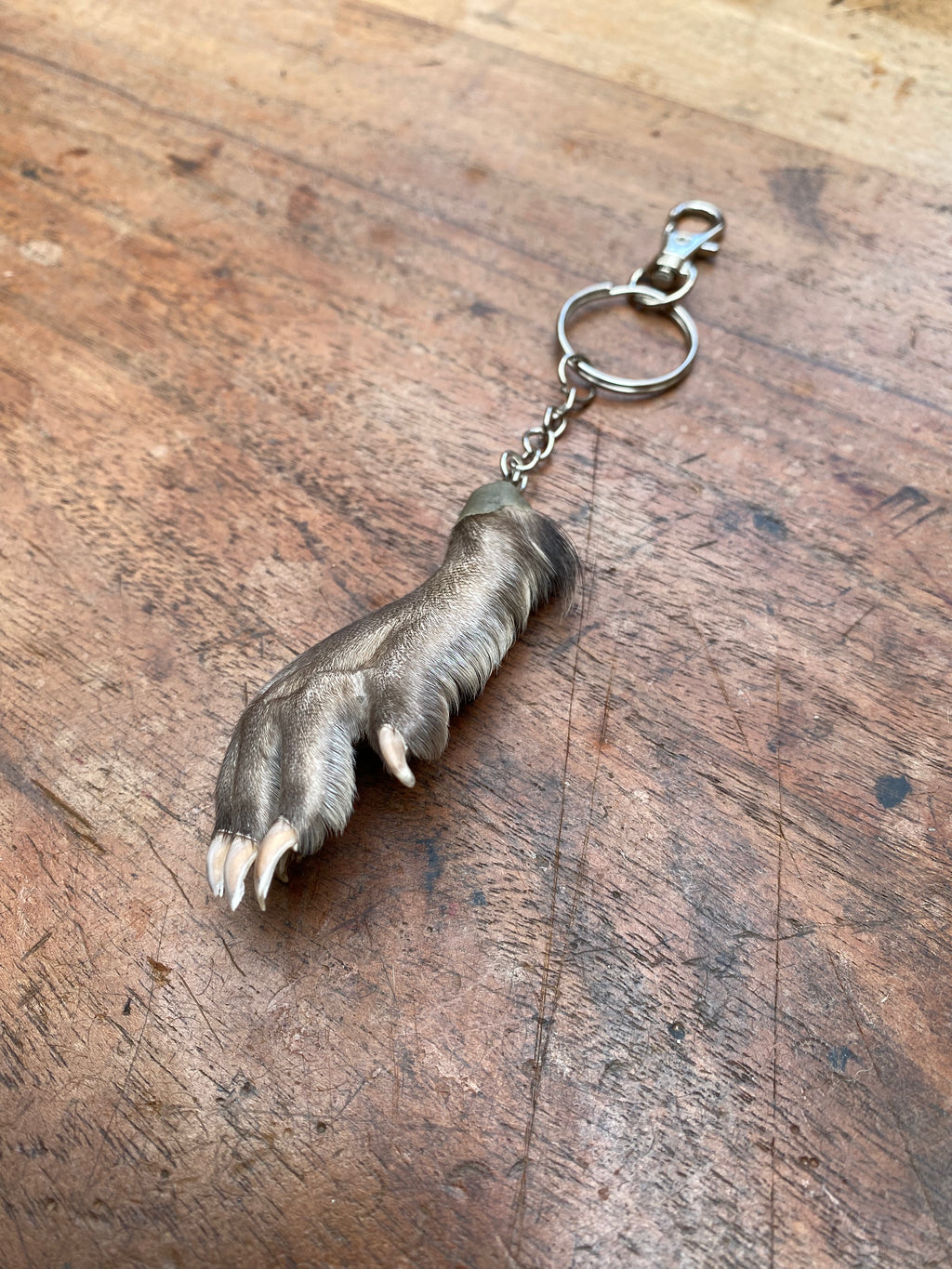 Muskrat Paw Keychain