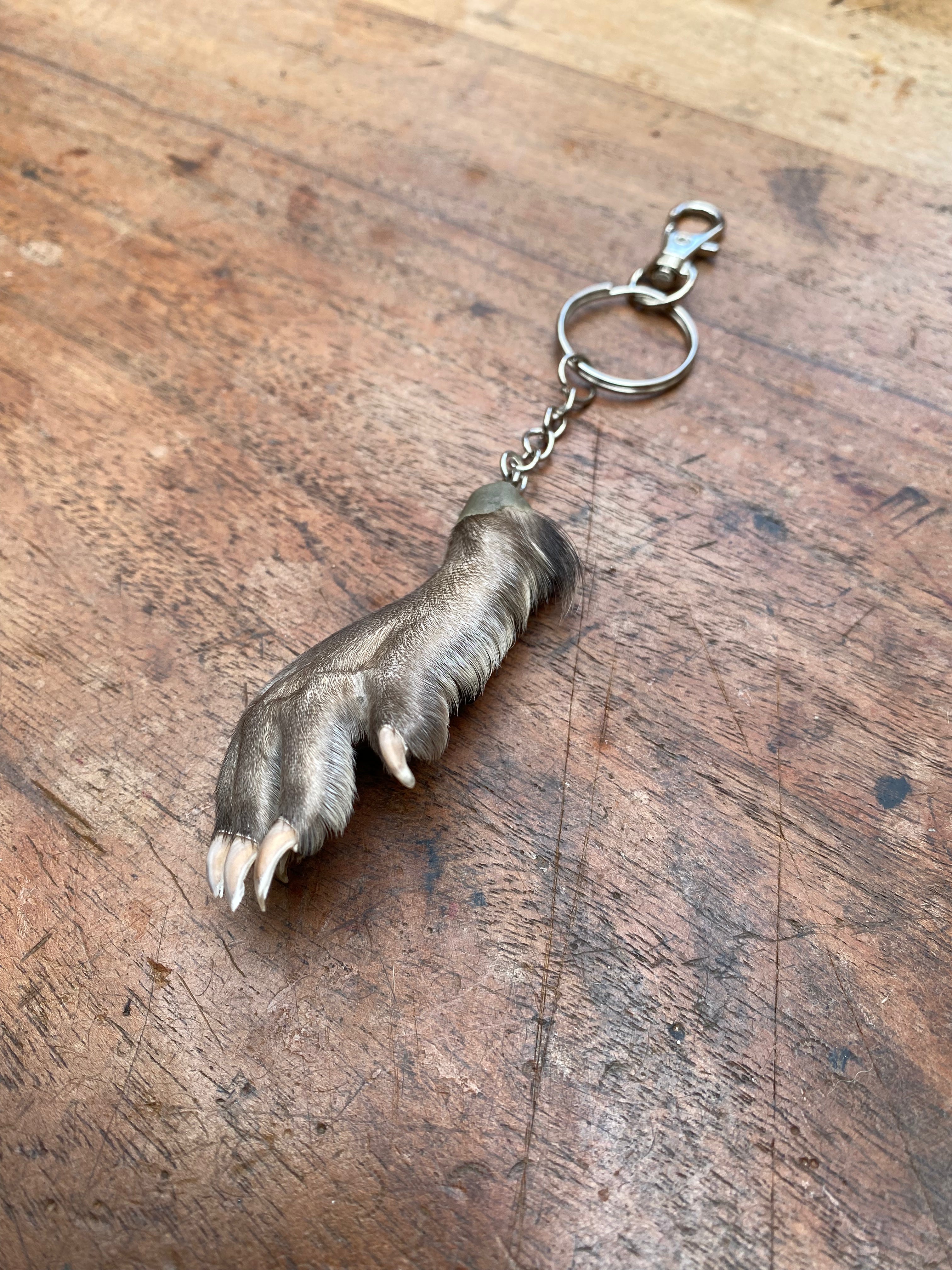 Muskrat Paw Keychain