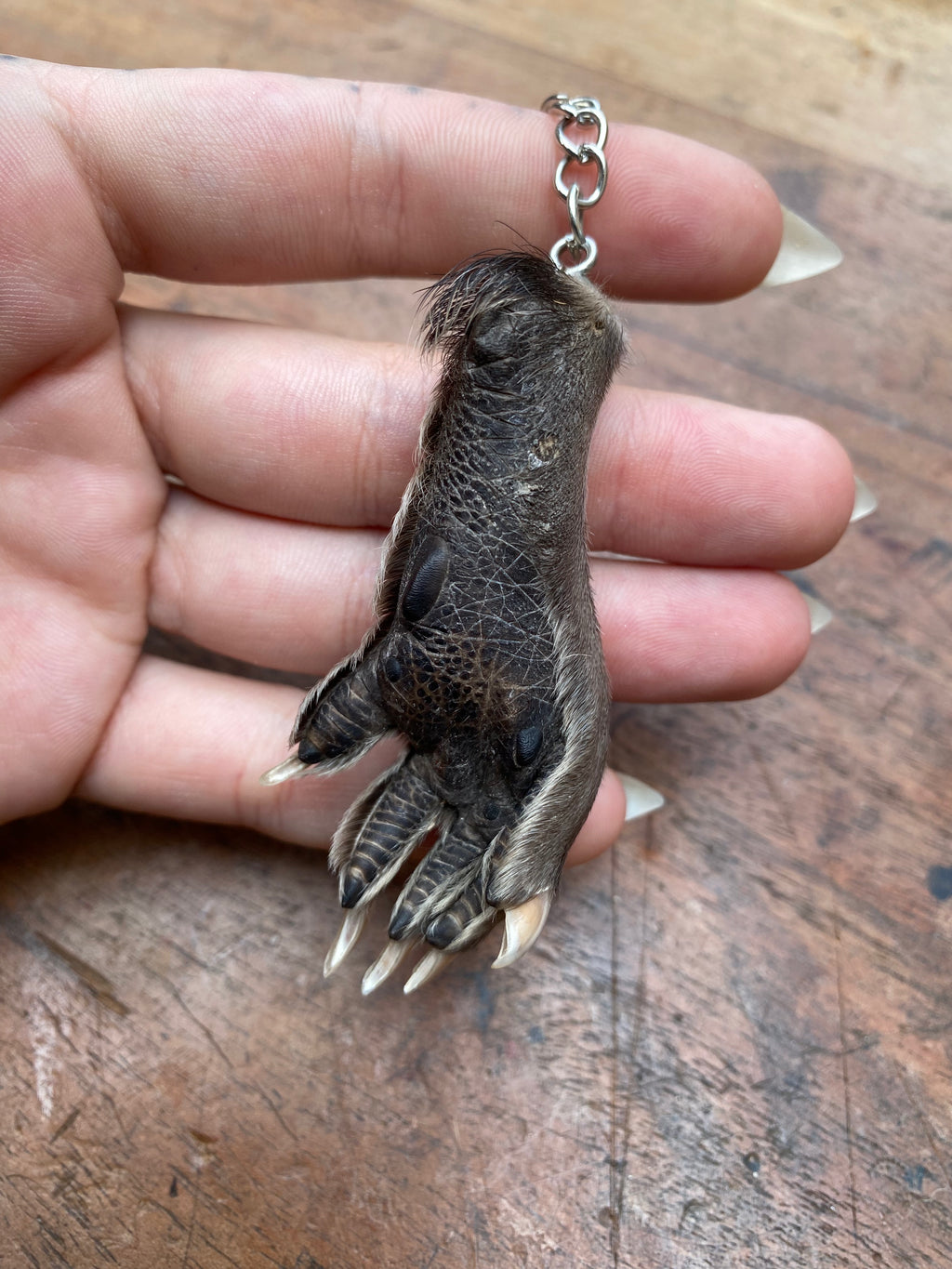 Muskrat Paw Keychain