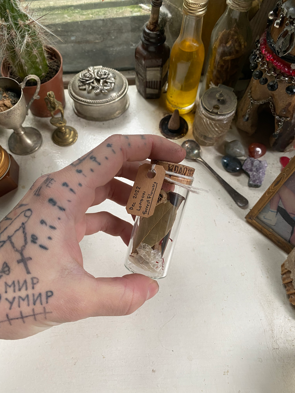 Oddity Filled Glass Jar image 0