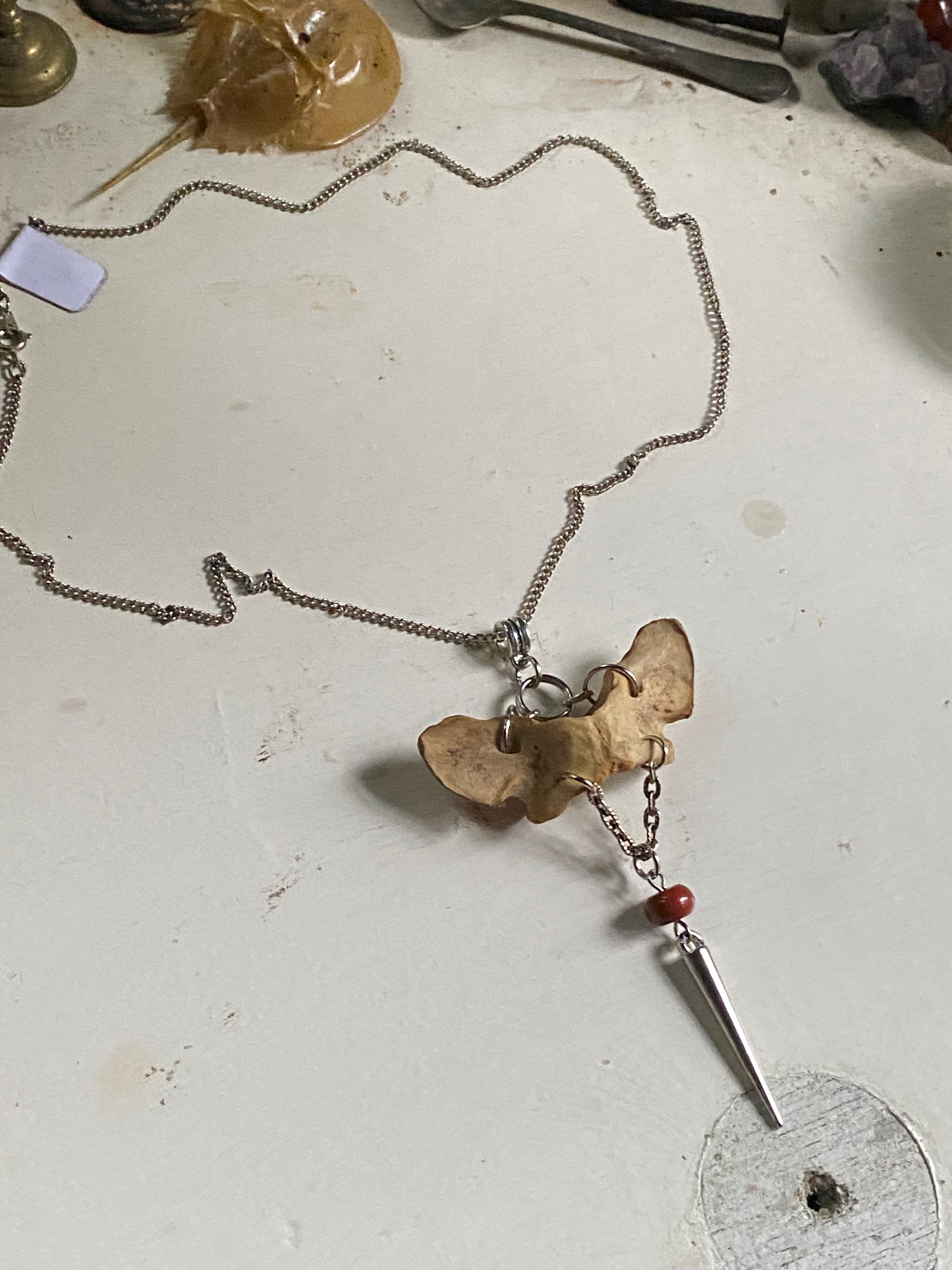 Pelvic Bone and Spike Necklace image 4
