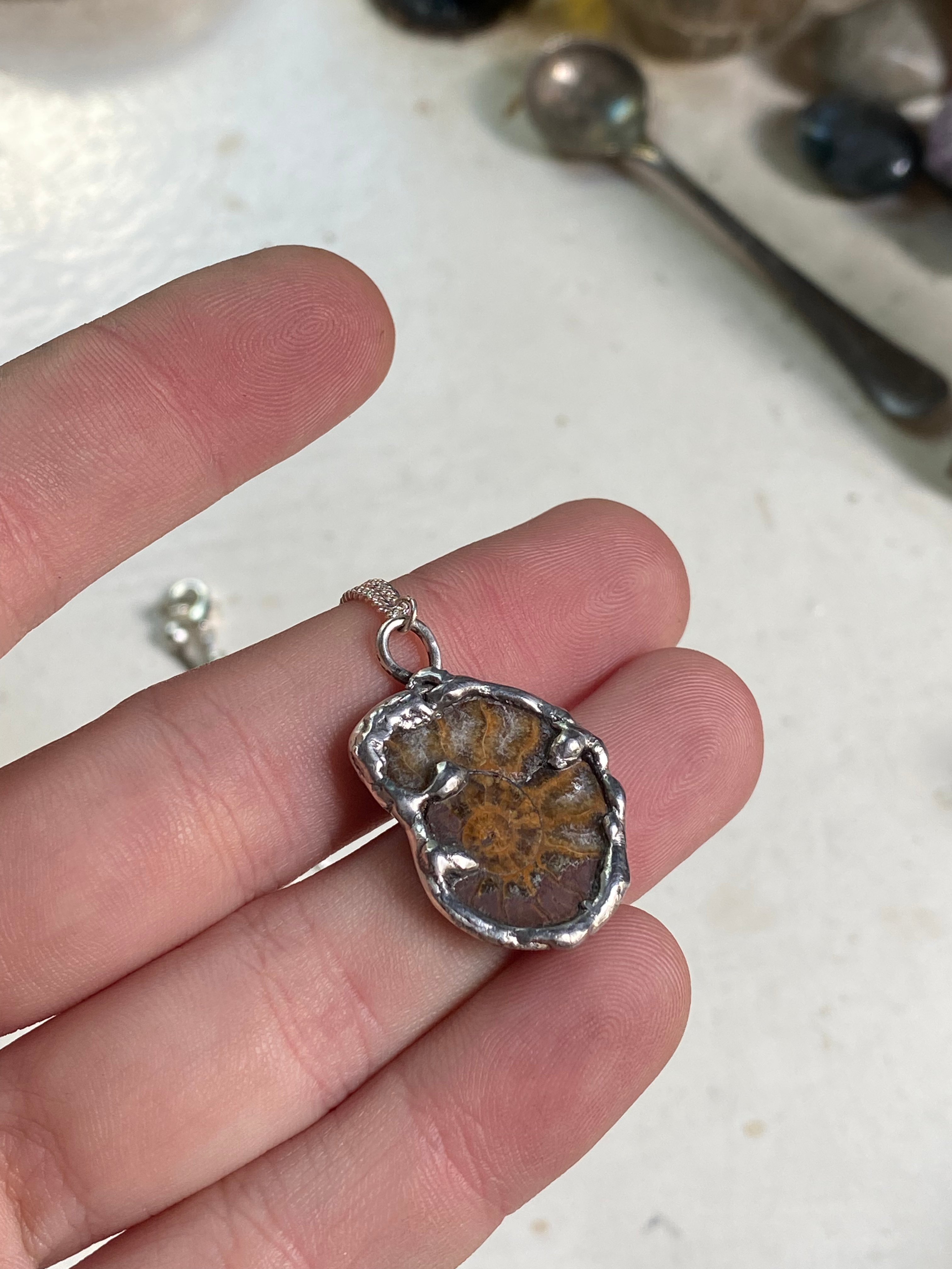 Fossil in Sterling Silver Frame Necklace image 1