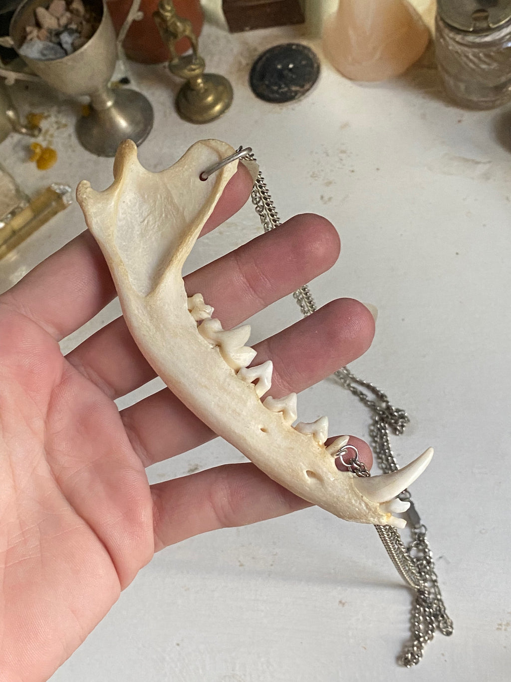 Fox Jaw Double Chain Necklace image 1