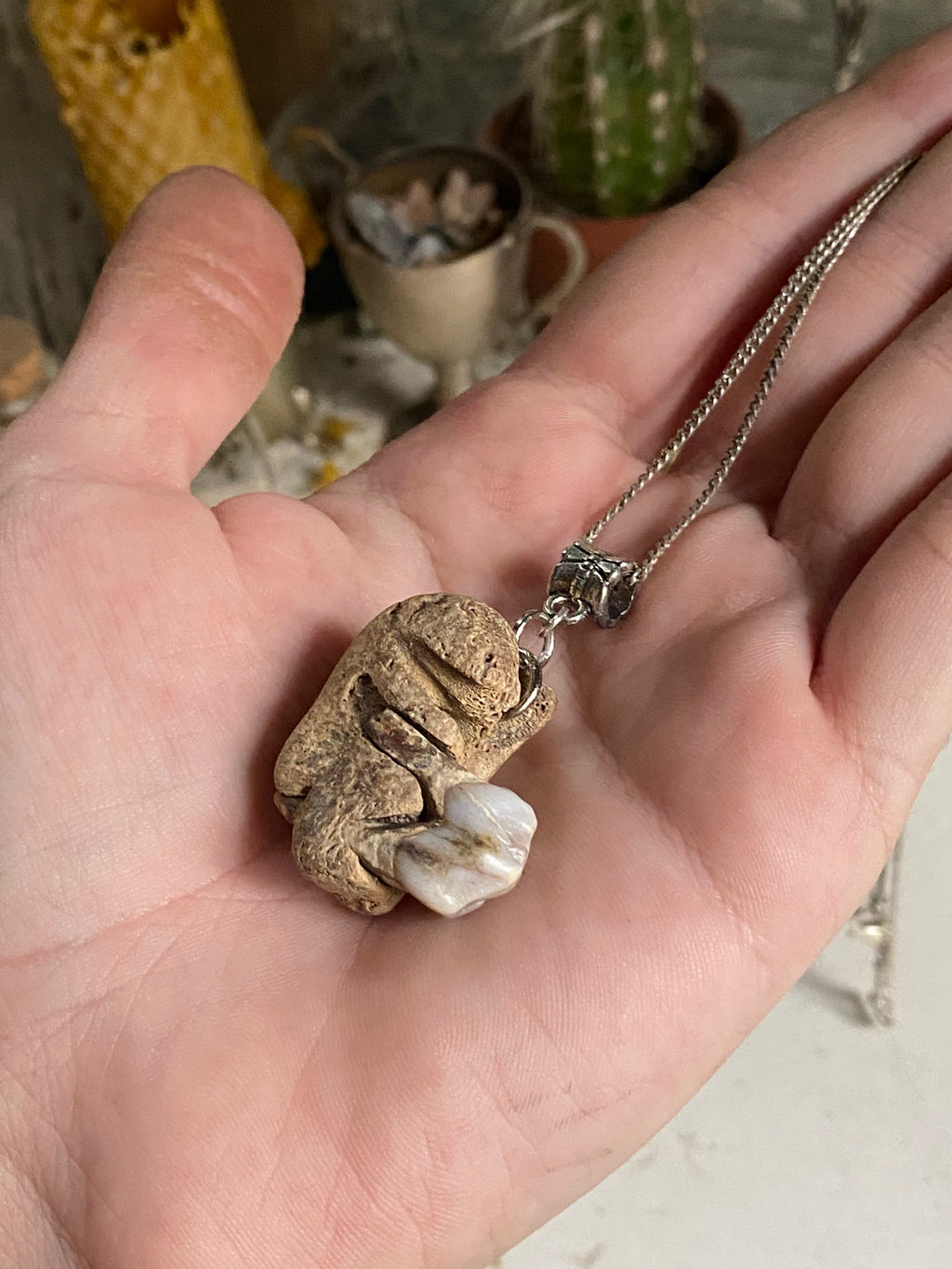 Tooth in Fossilised Bone on a Chain image 3