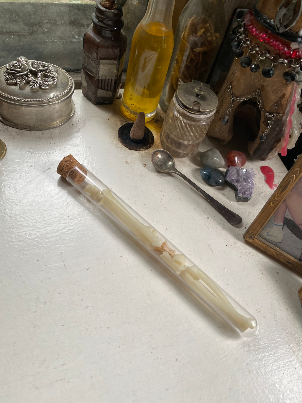 Fox Bones in Glass Vial image 2