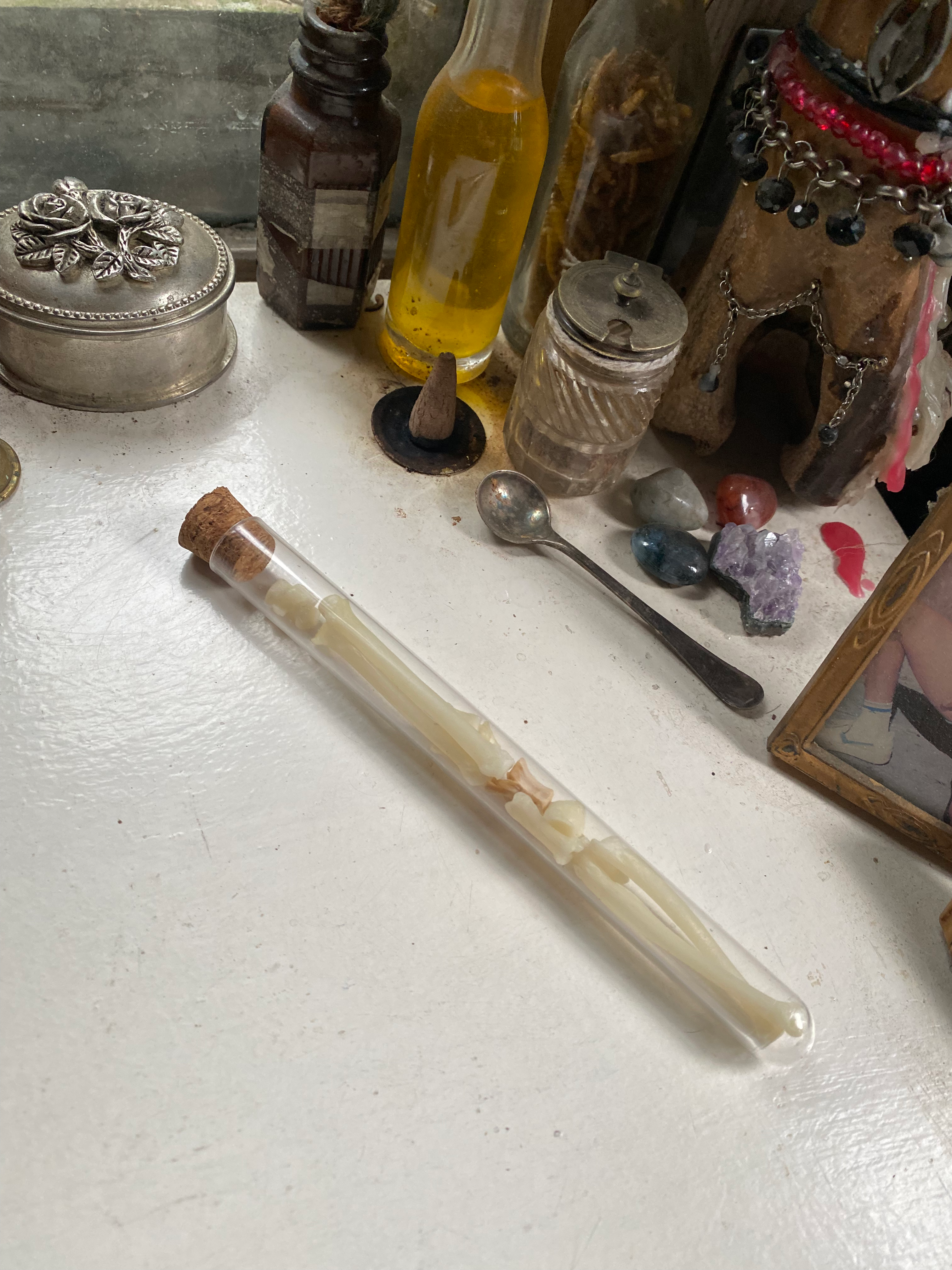 Fox Bones in Glass Vial image 2