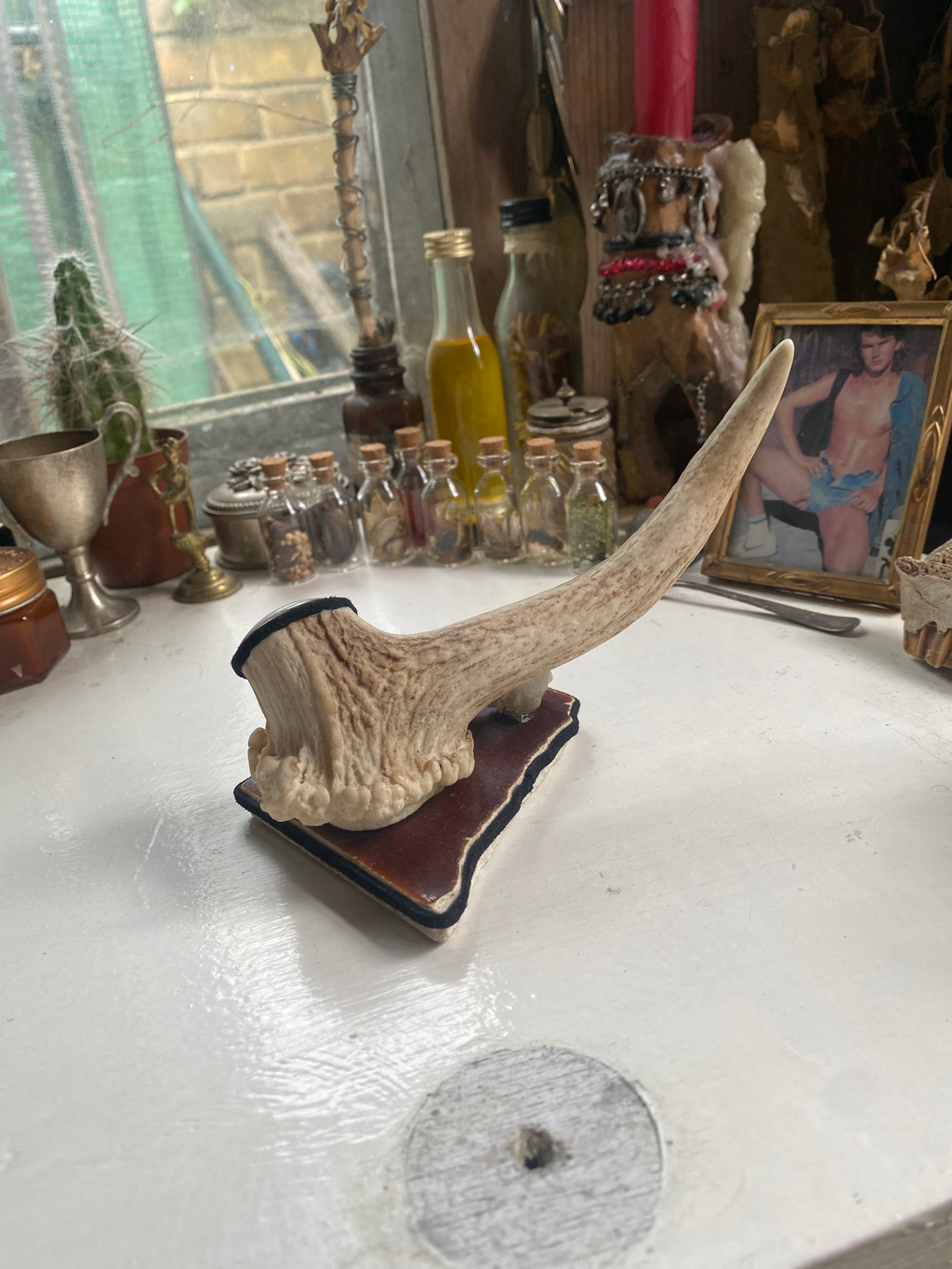 Deer Antler and Bird Skull Ring Holder image 2