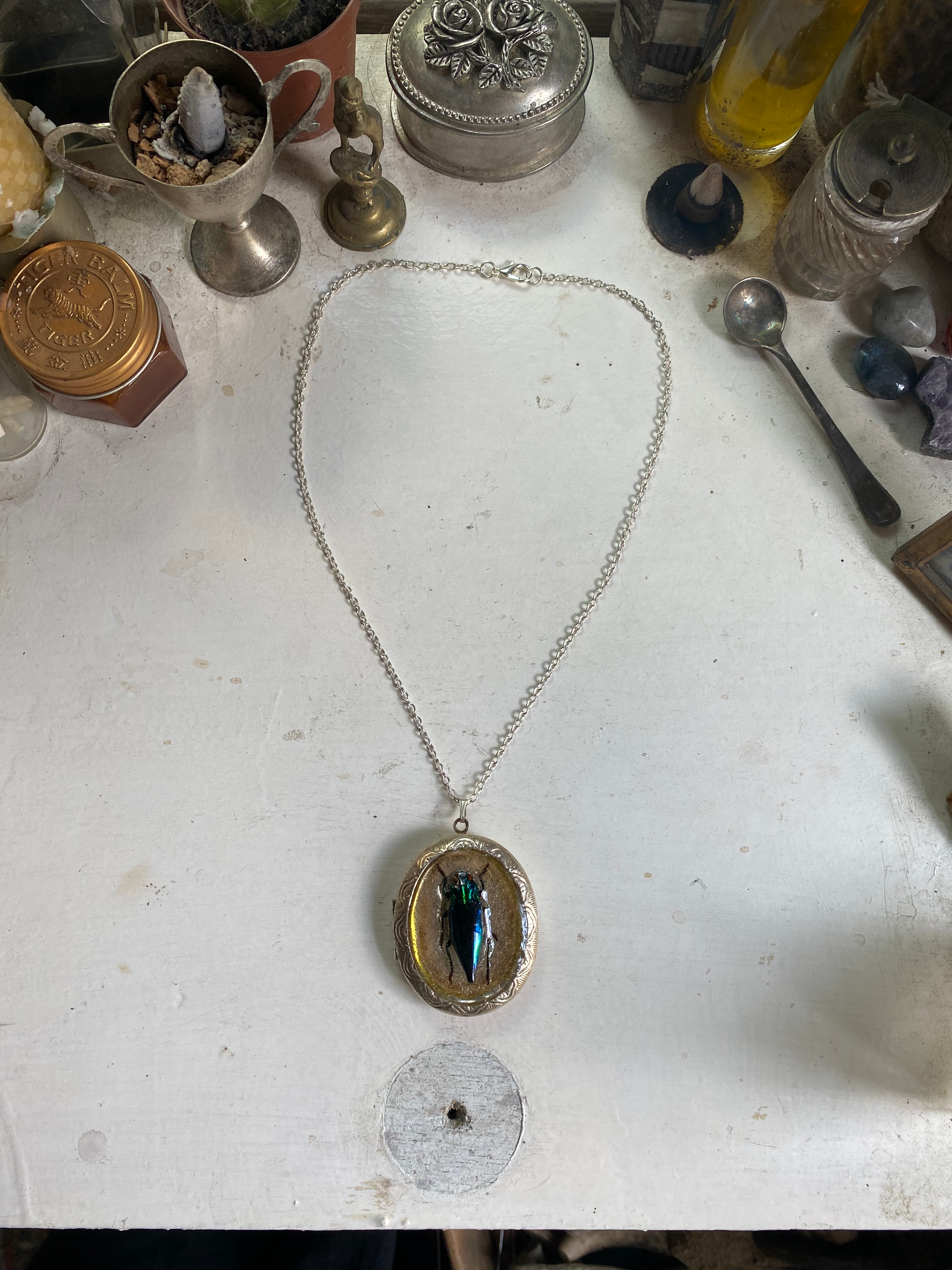 Beetle Locket with Mirror Necklace image 0