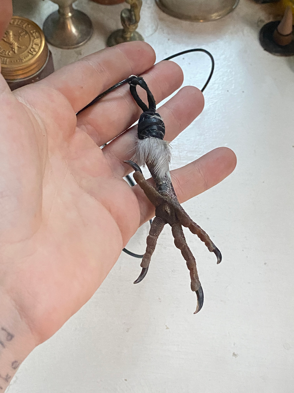 Bird Foot Leather Necklace image 2