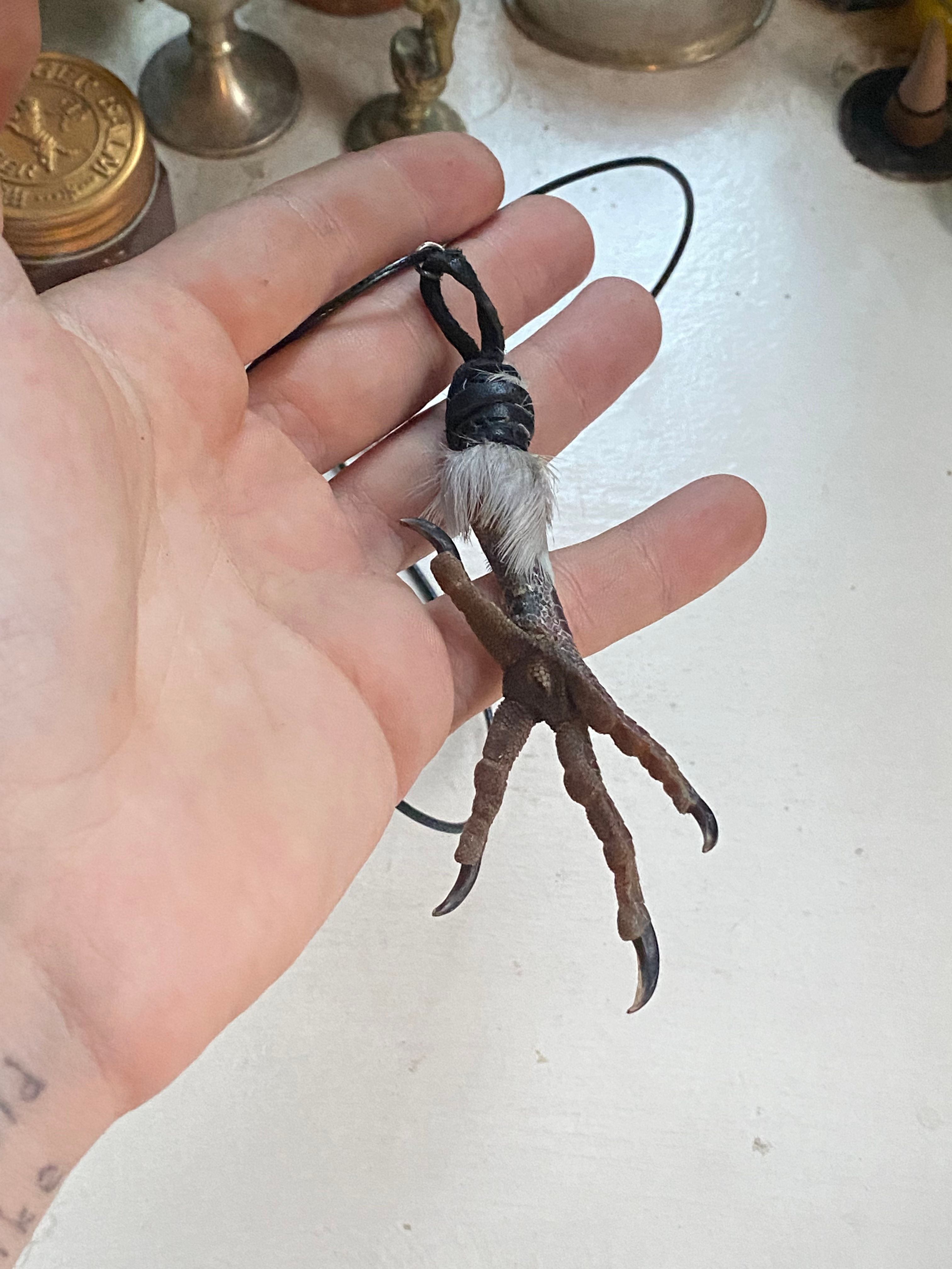 Bird Foot Leather Necklace image 2