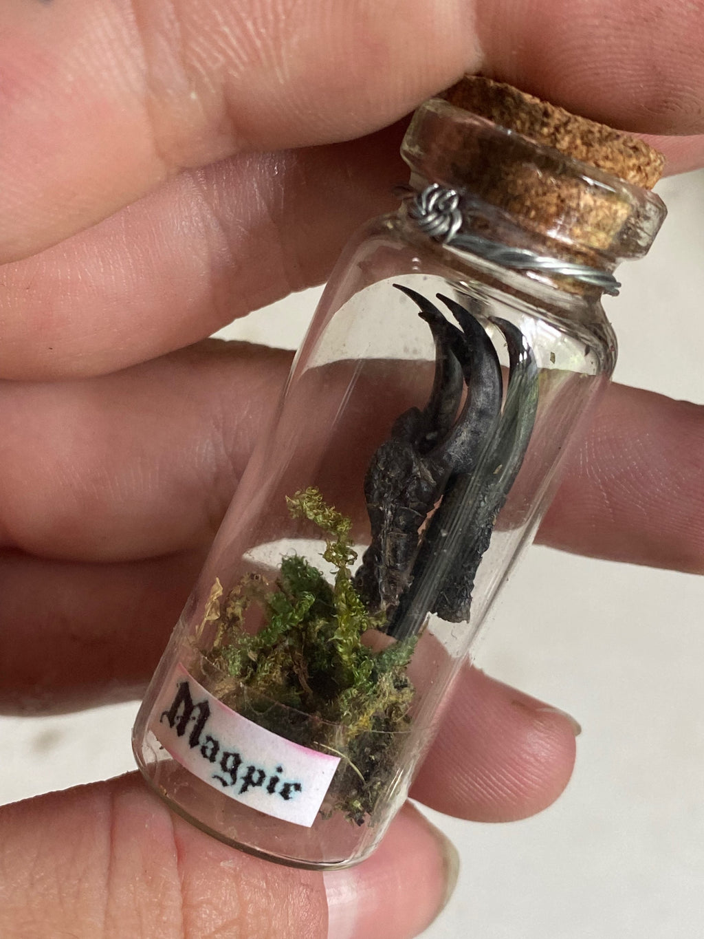 Magpie Claws in Glass Jar Keychain image 2