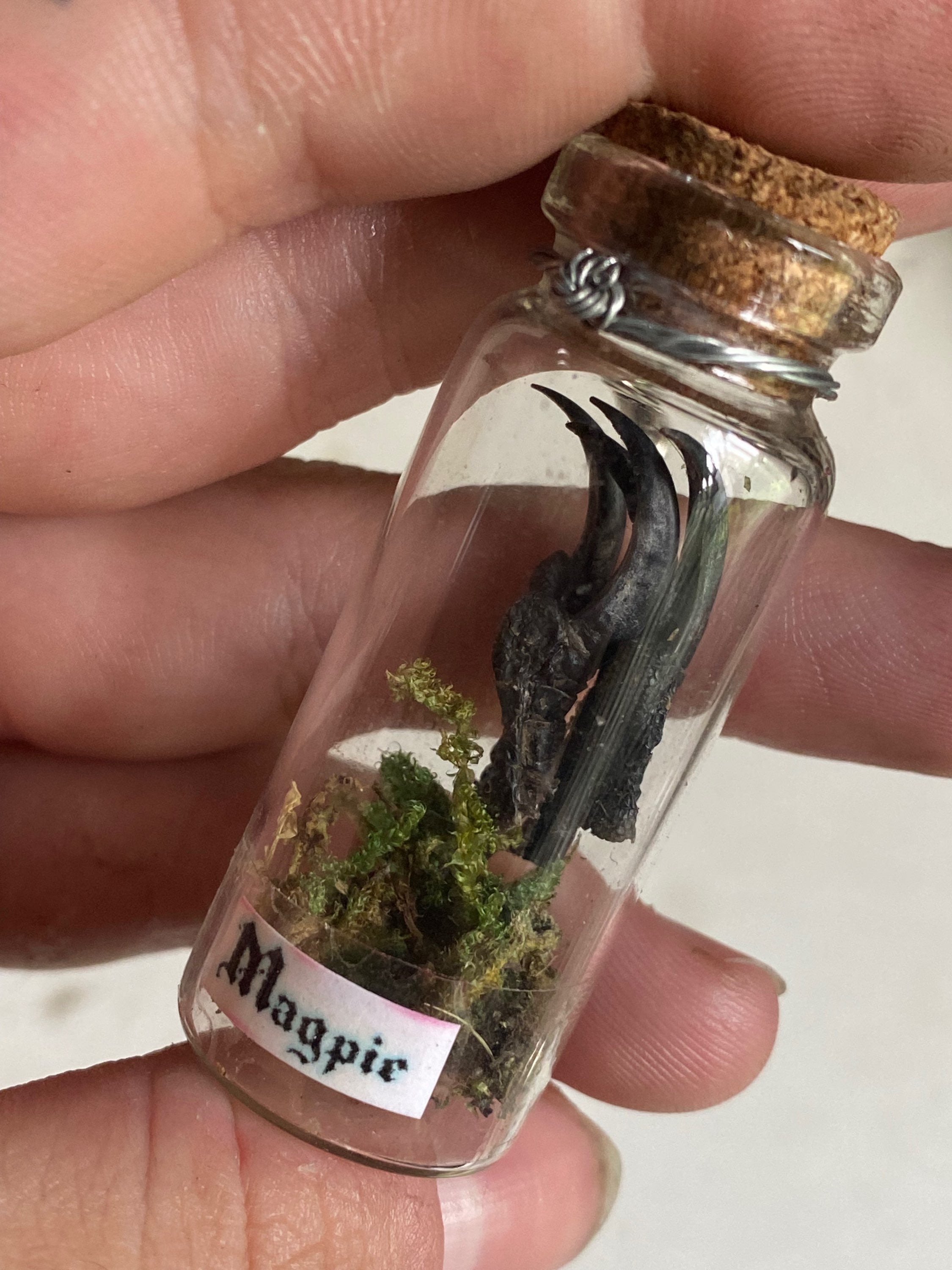 Magpie Claws in Glass Jar Keychain image 2