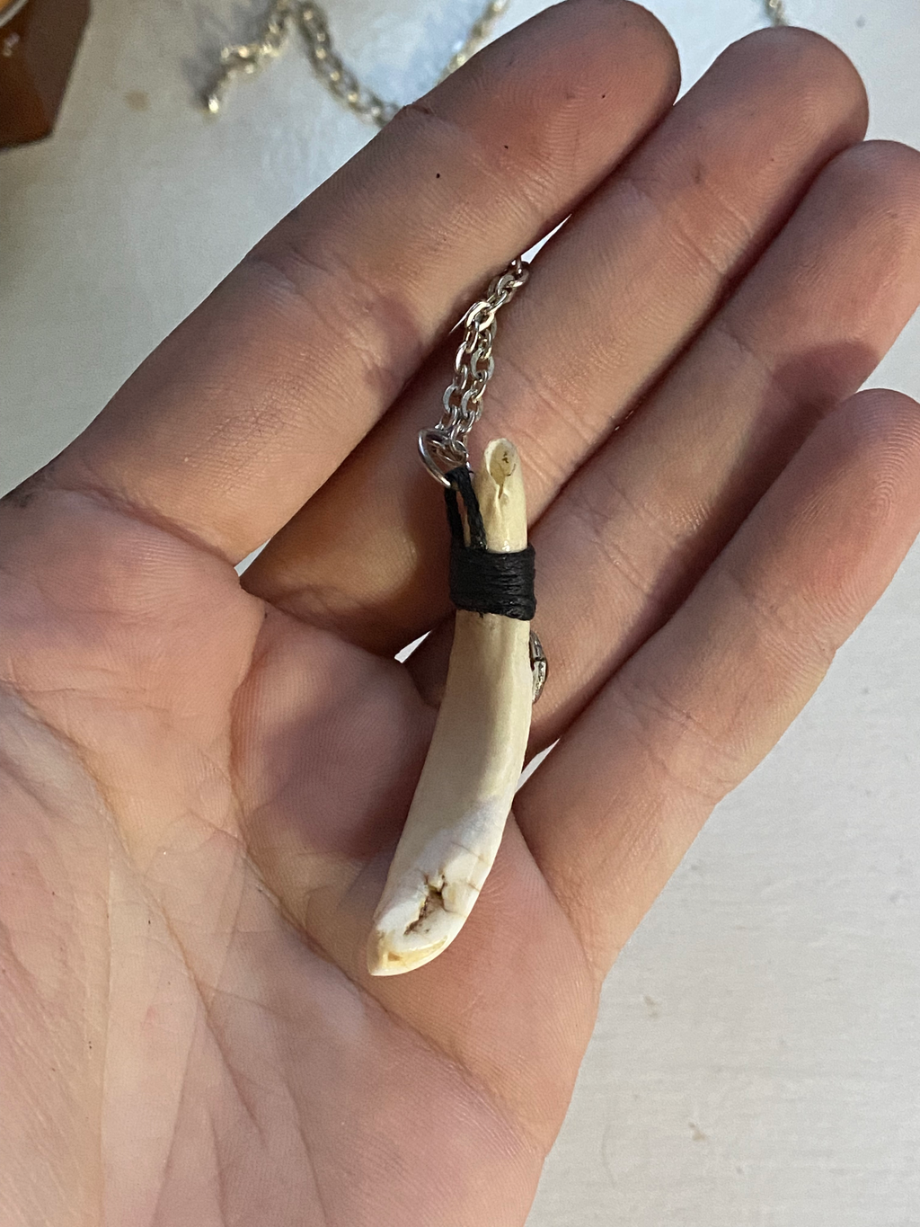 Wild Boar Tooth and Tiger Eye Necklace image 5