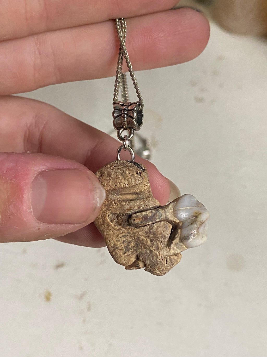 Tooth in Fossilised Bone on a Chain image 0