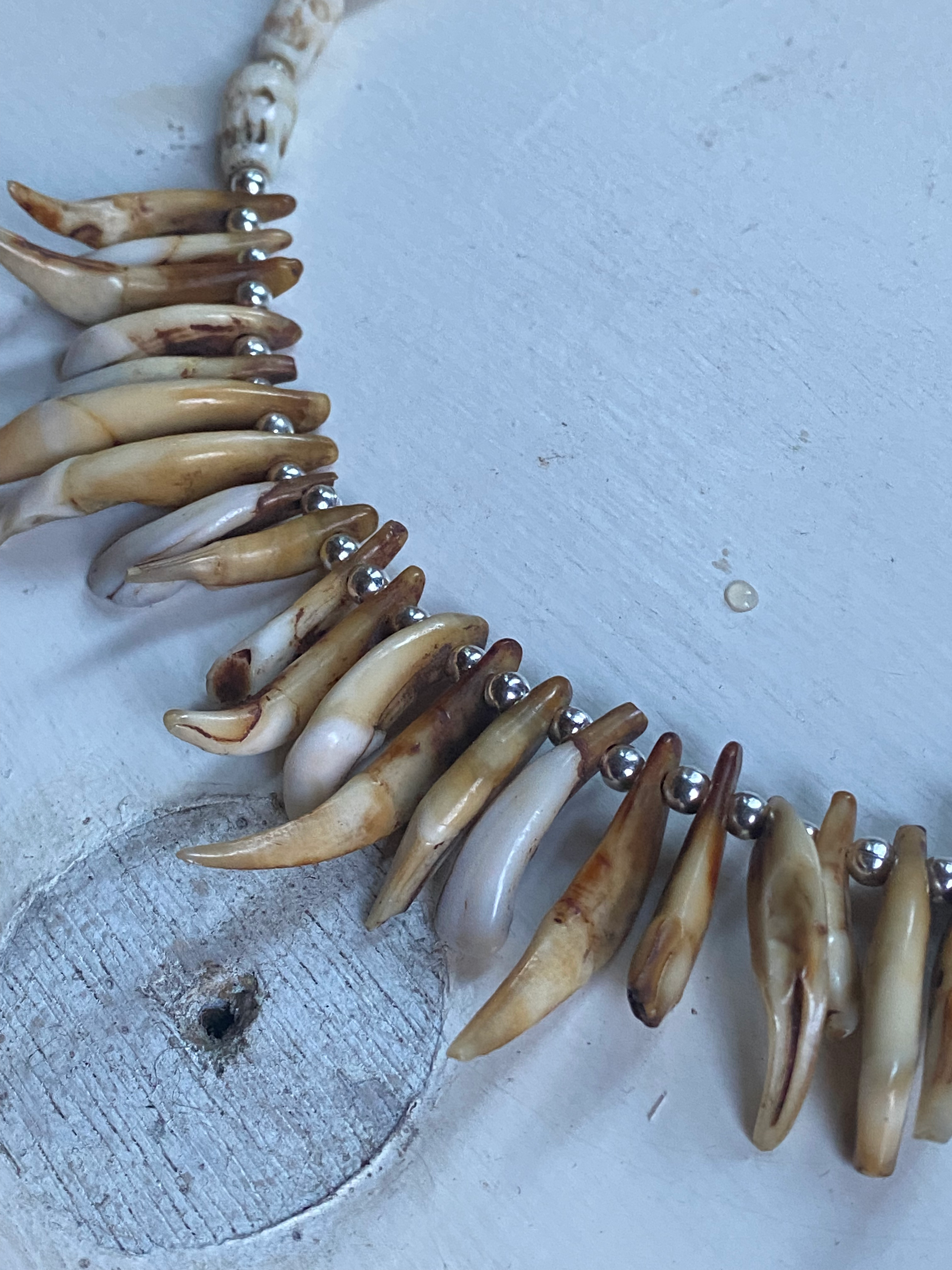 Animal Teeth and Carved Bone Necklace image 1