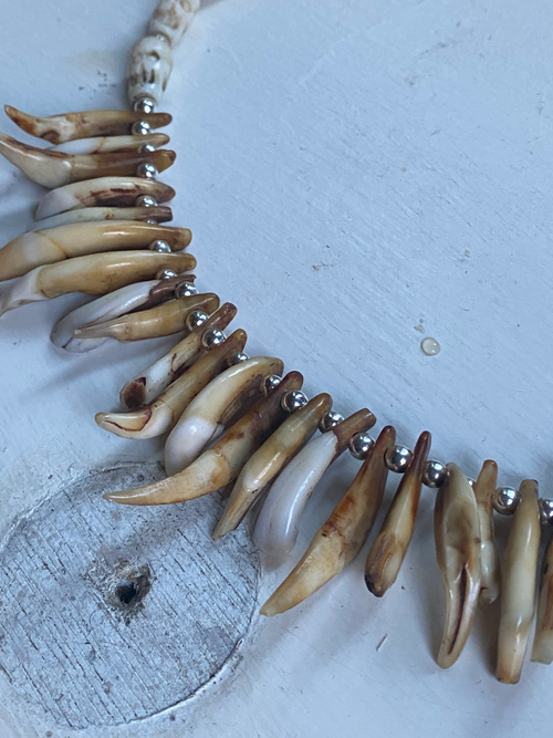 Animal Teeth and Carved Bone Necklace image 1