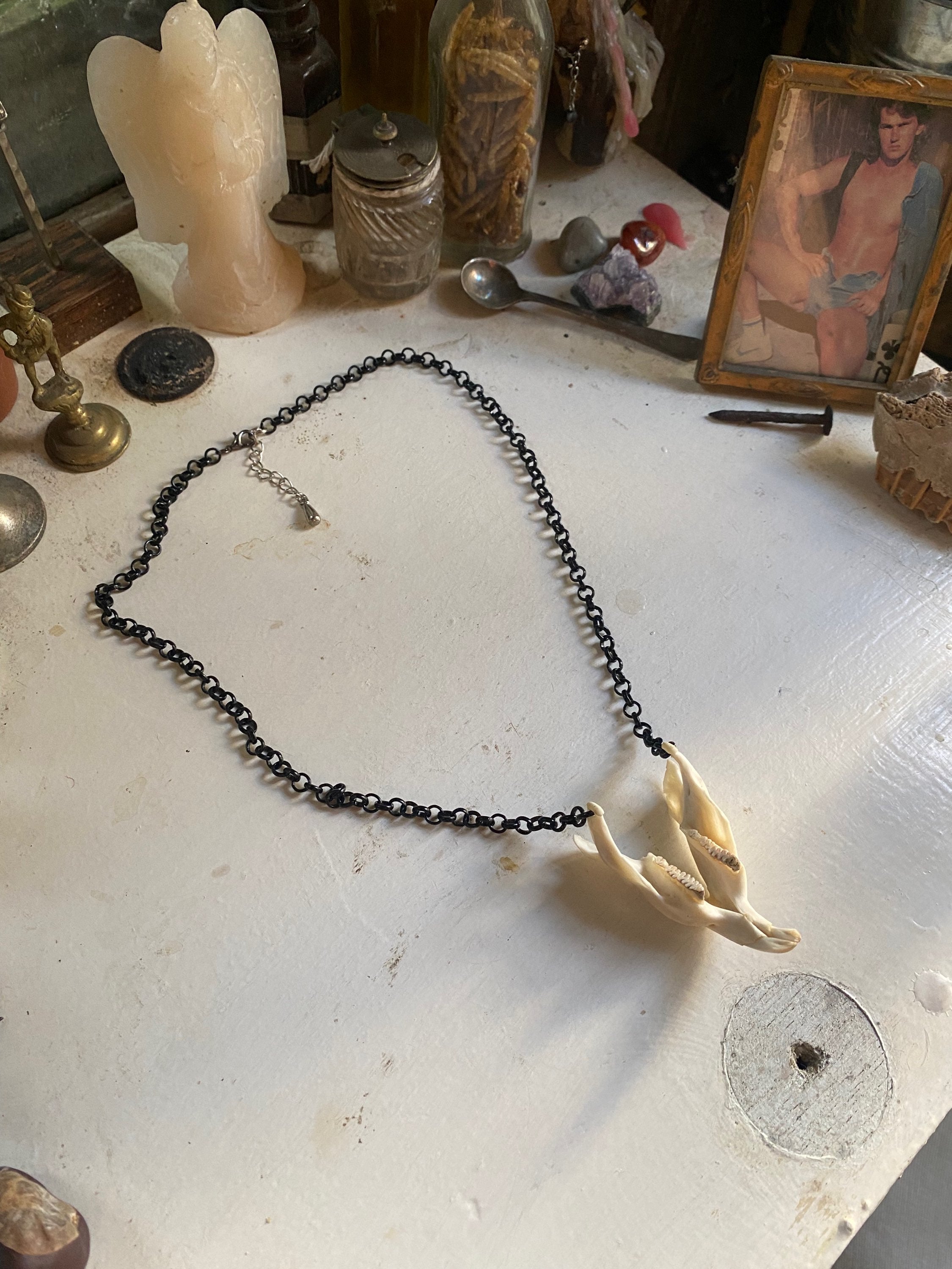 Muskrat Lower Jaw with Teeth Necklace image 0