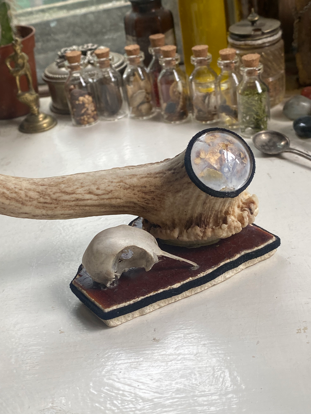 Deer Antler and Bird Skull Ring Holder image 1