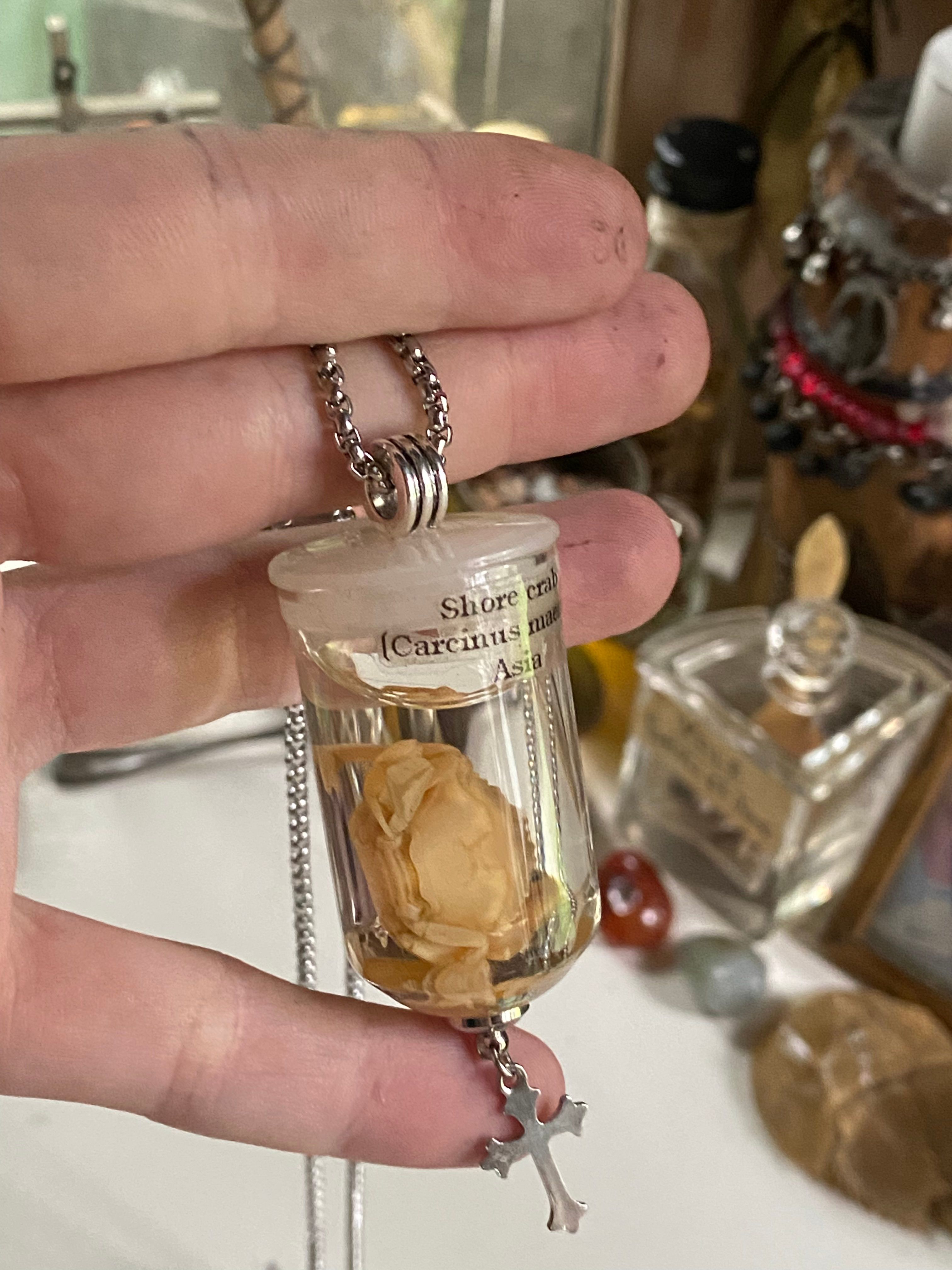 Shore Crab Wet Specimen in Glass Necklace image 5
