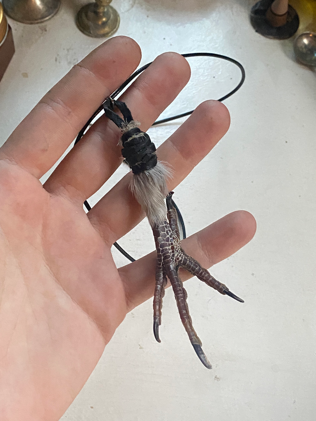 Bird Foot Leather Necklace image 4