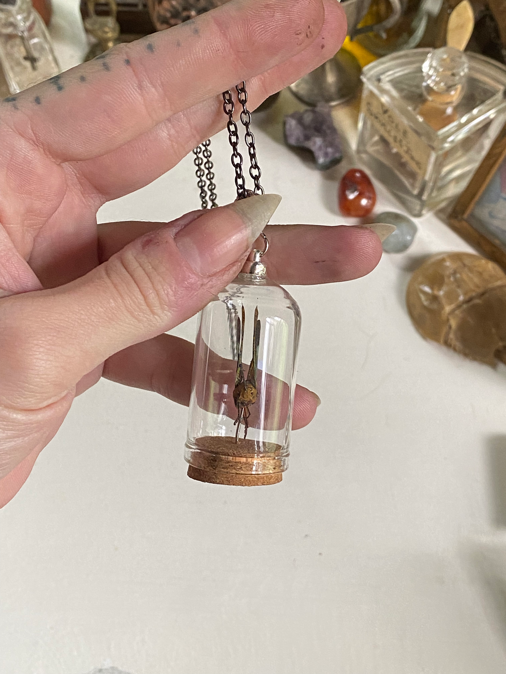 Long Nose Lantern Fly in Glass Dome Necklace image 4