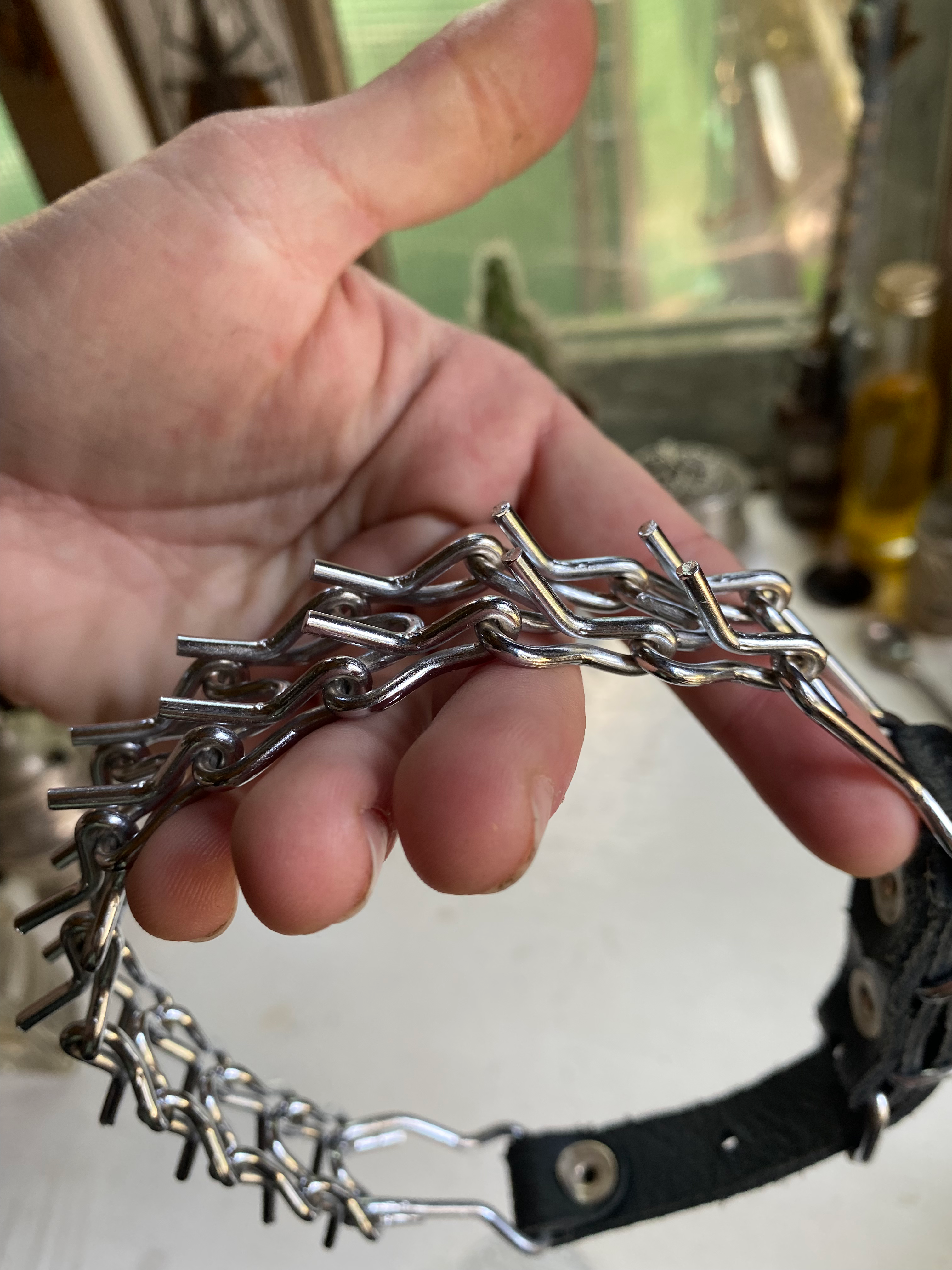 Spikes and Leather Collar image 1