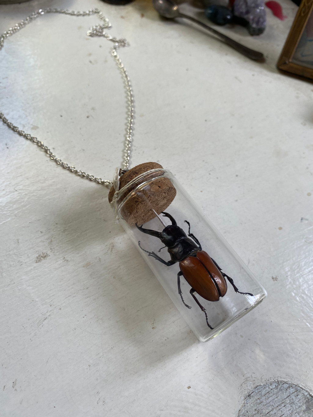Beetle Taxidermy in Glass Jar Necklace image 4