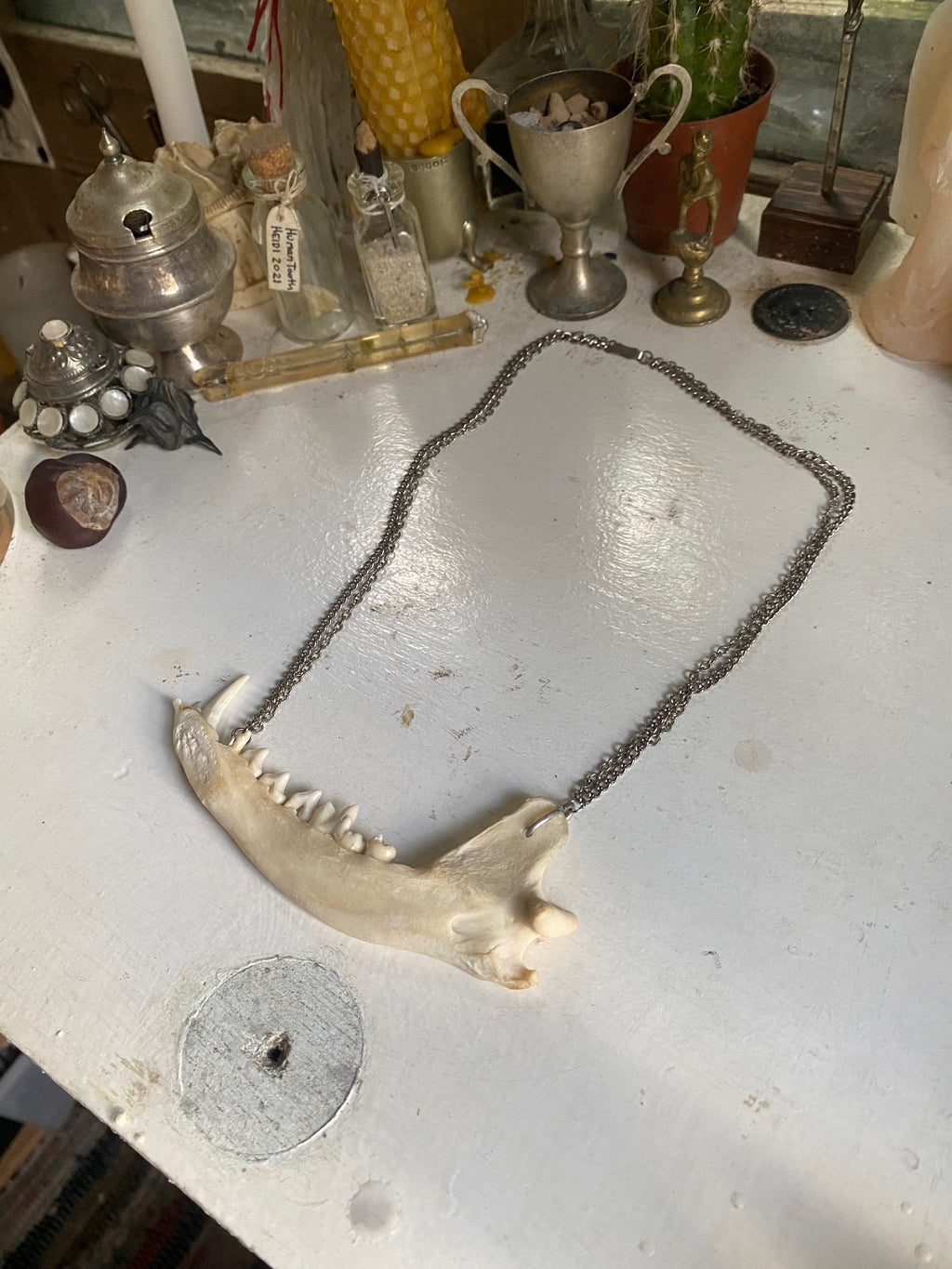 Fox Jaw Double Chain Necklace image 0