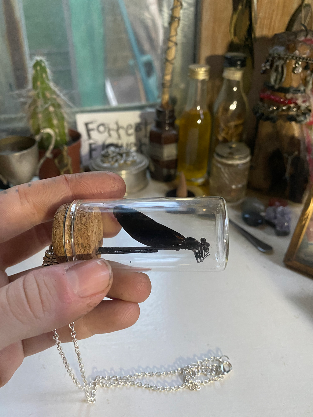 Dragonfly in Glass Jar Necklace image 2
