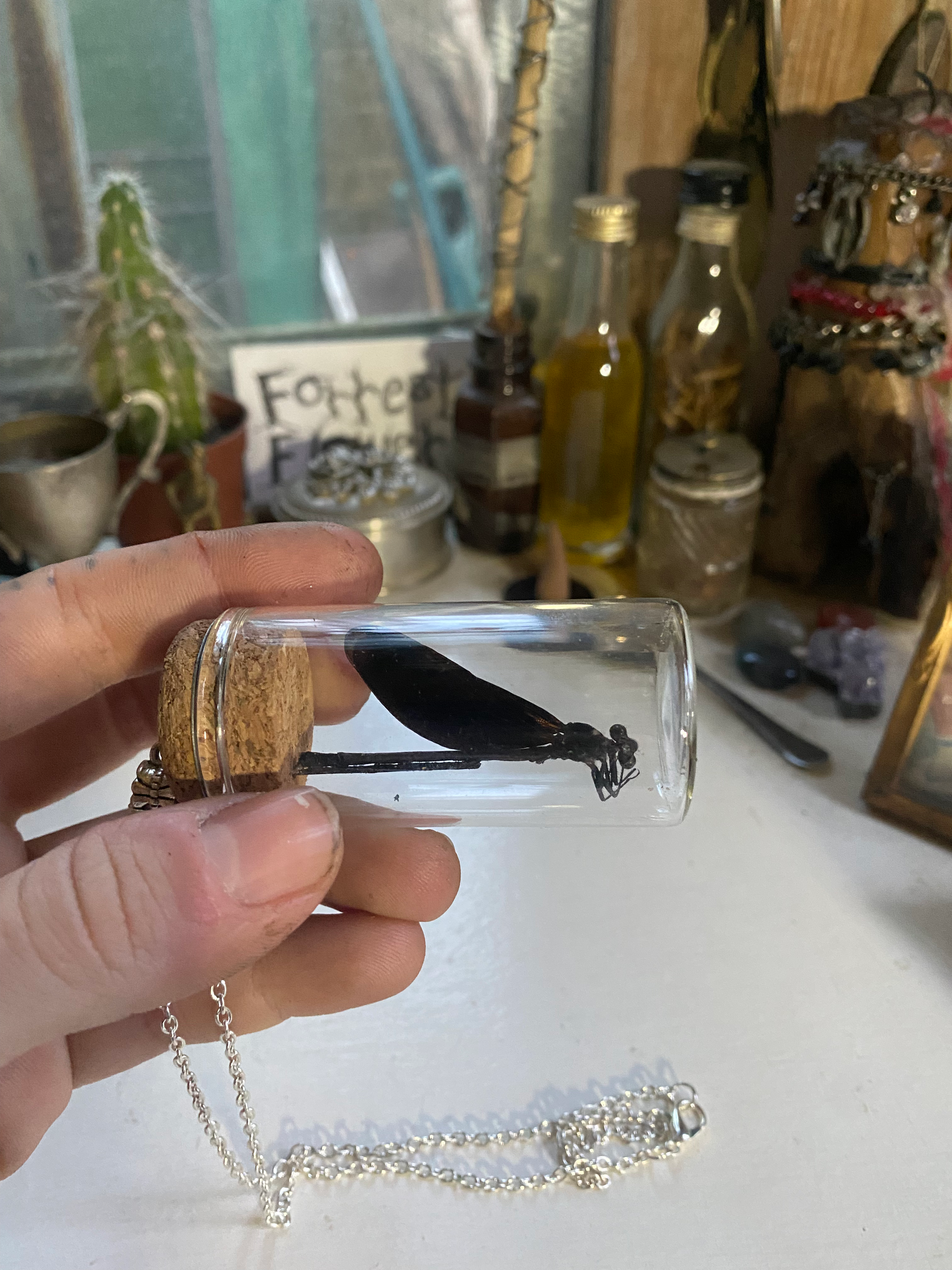 Dragonfly in Glass Jar Necklace image 2