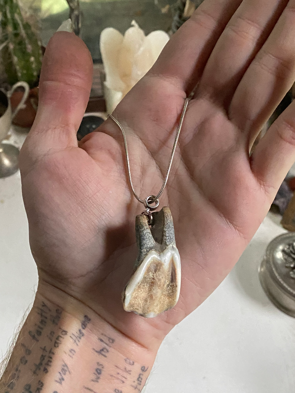 Tooth from Thames on a Chain image 3