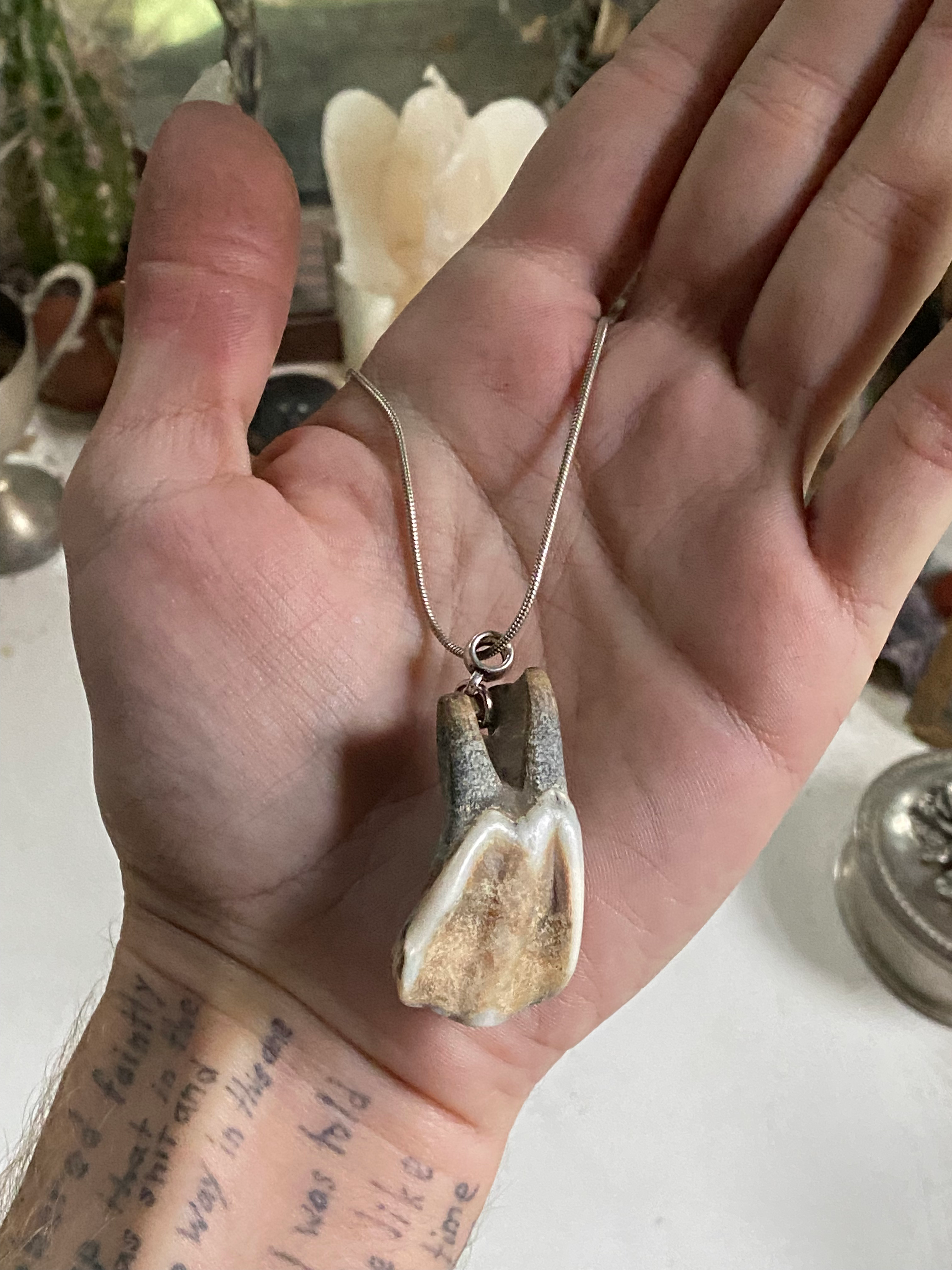 Tooth from Thames on a Chain image 3