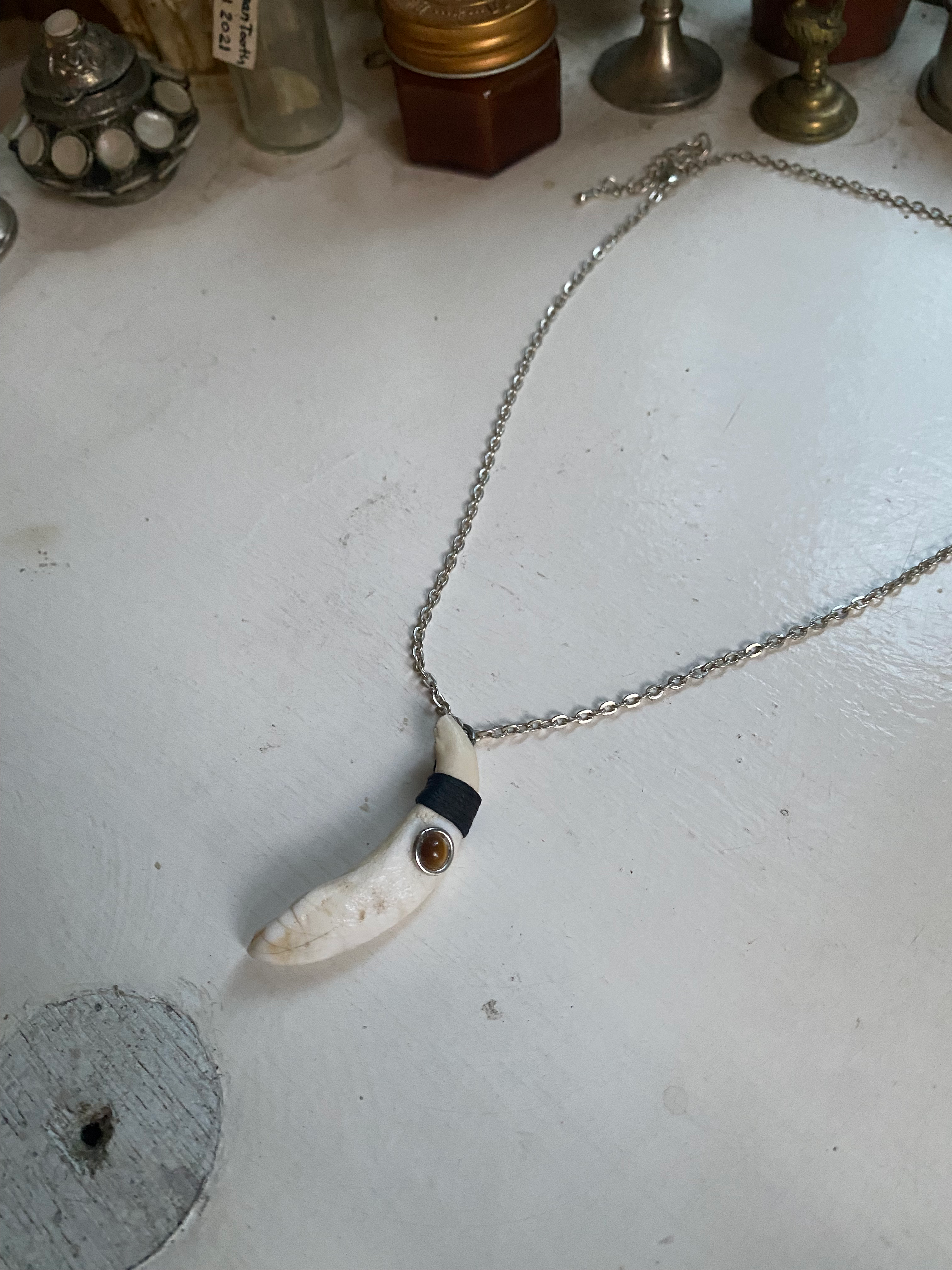Wild Boar Tooth and Tiger Eye Necklace image 3