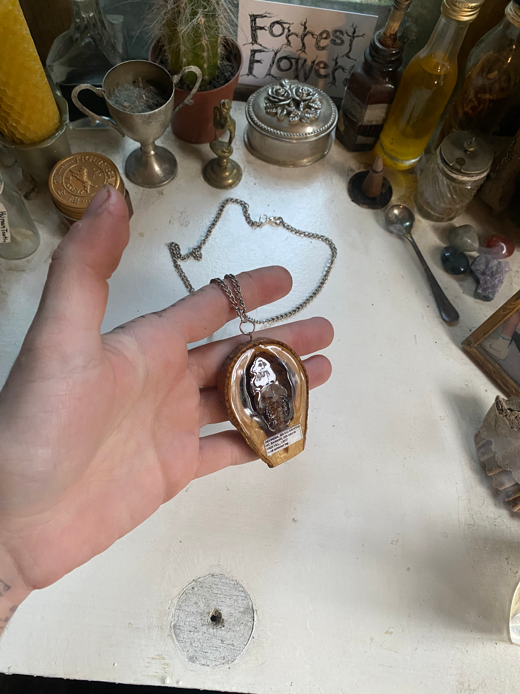 Insect Specimen Wood Necklace image 3