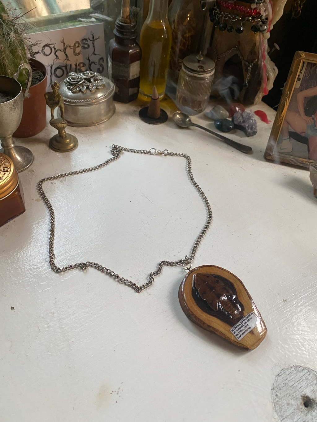 Insect Specimen Wood Necklace image 1