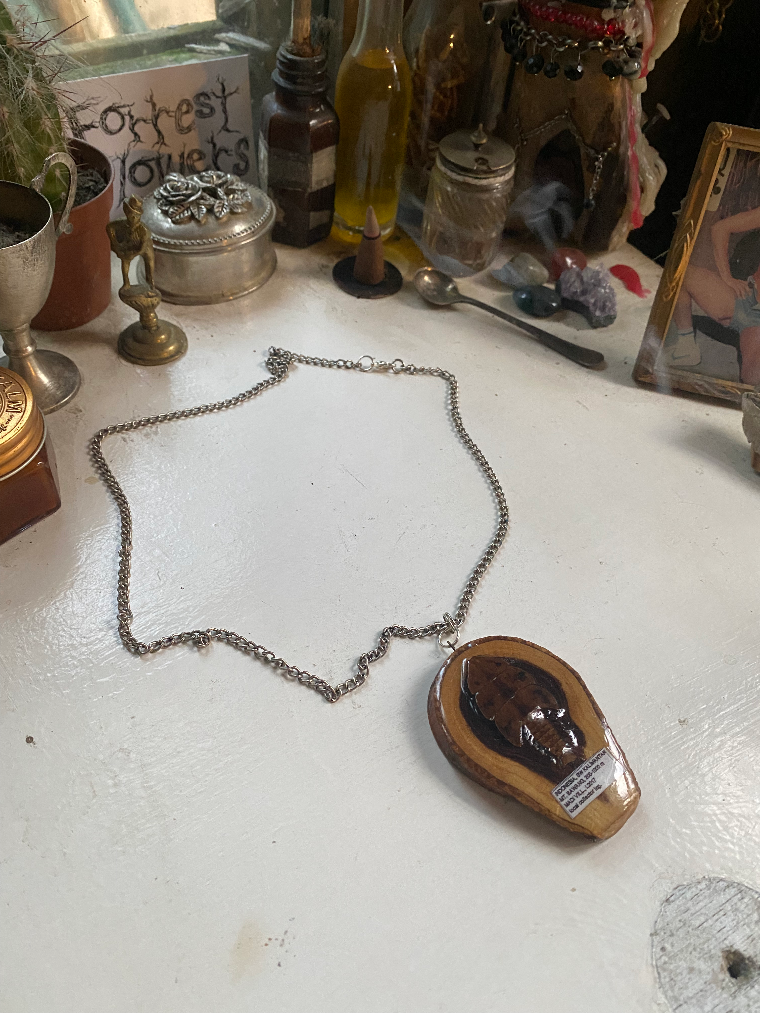 Insect Specimen Wood Necklace image 1