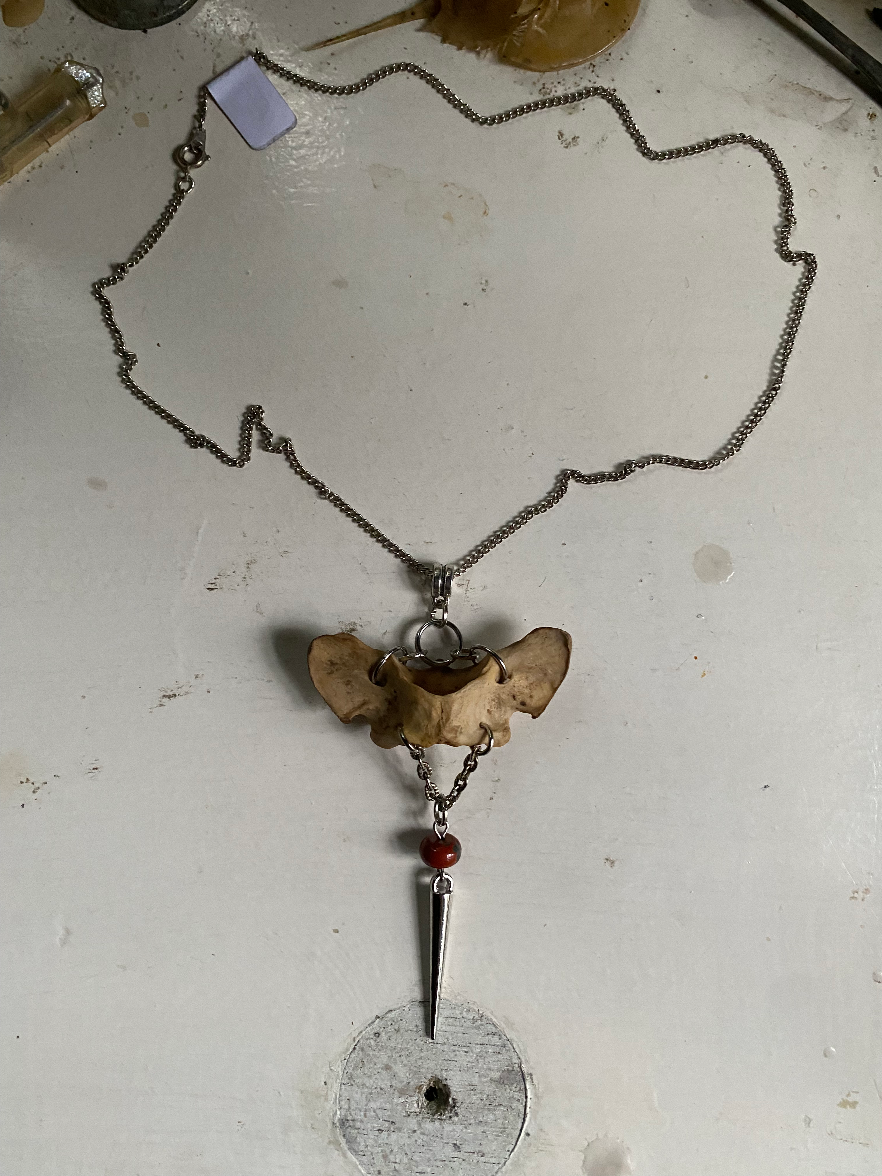 Pelvic Bone and Spike Necklace image 1