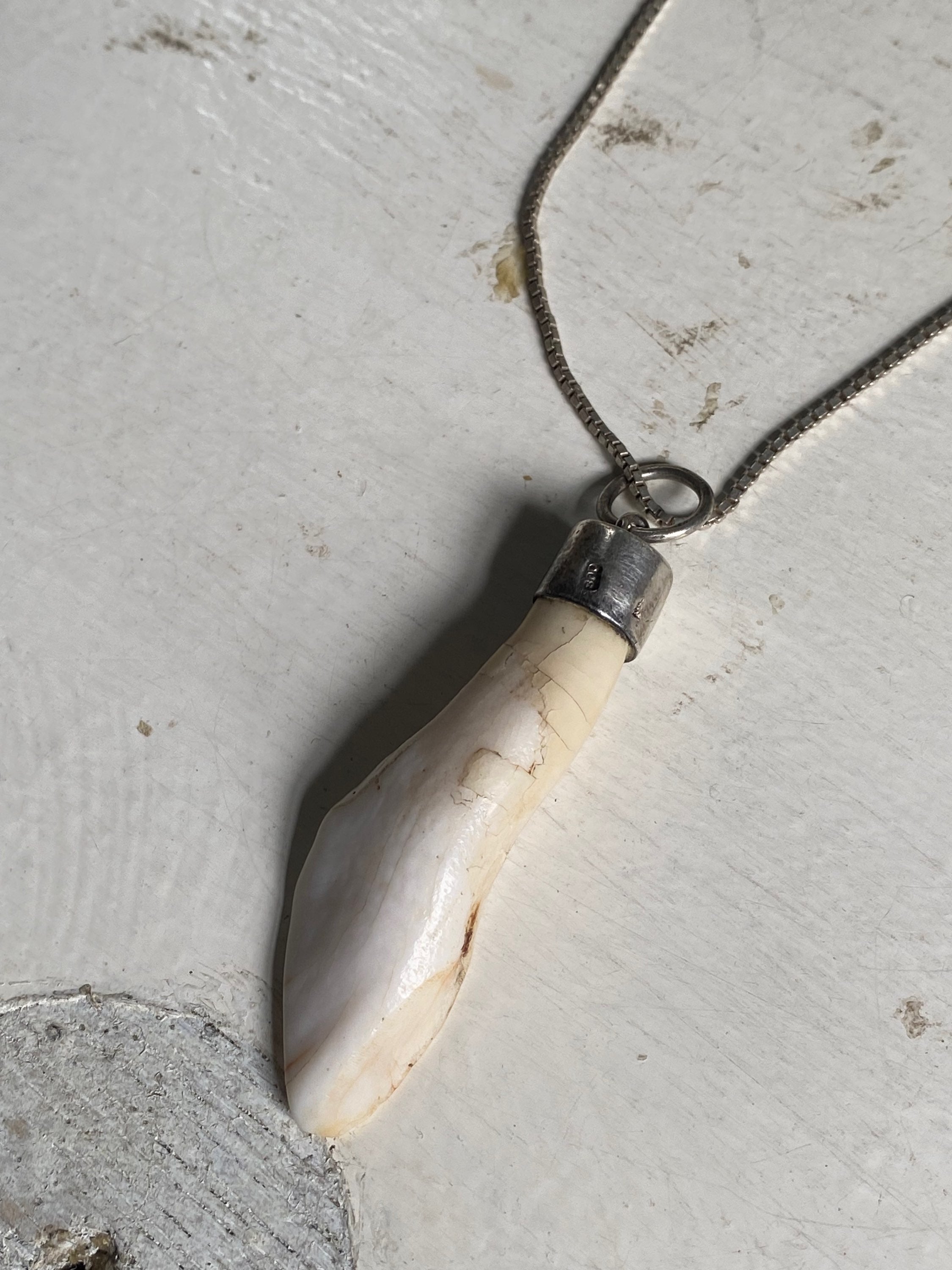 Sterling Silver Tooth Pendant image 3