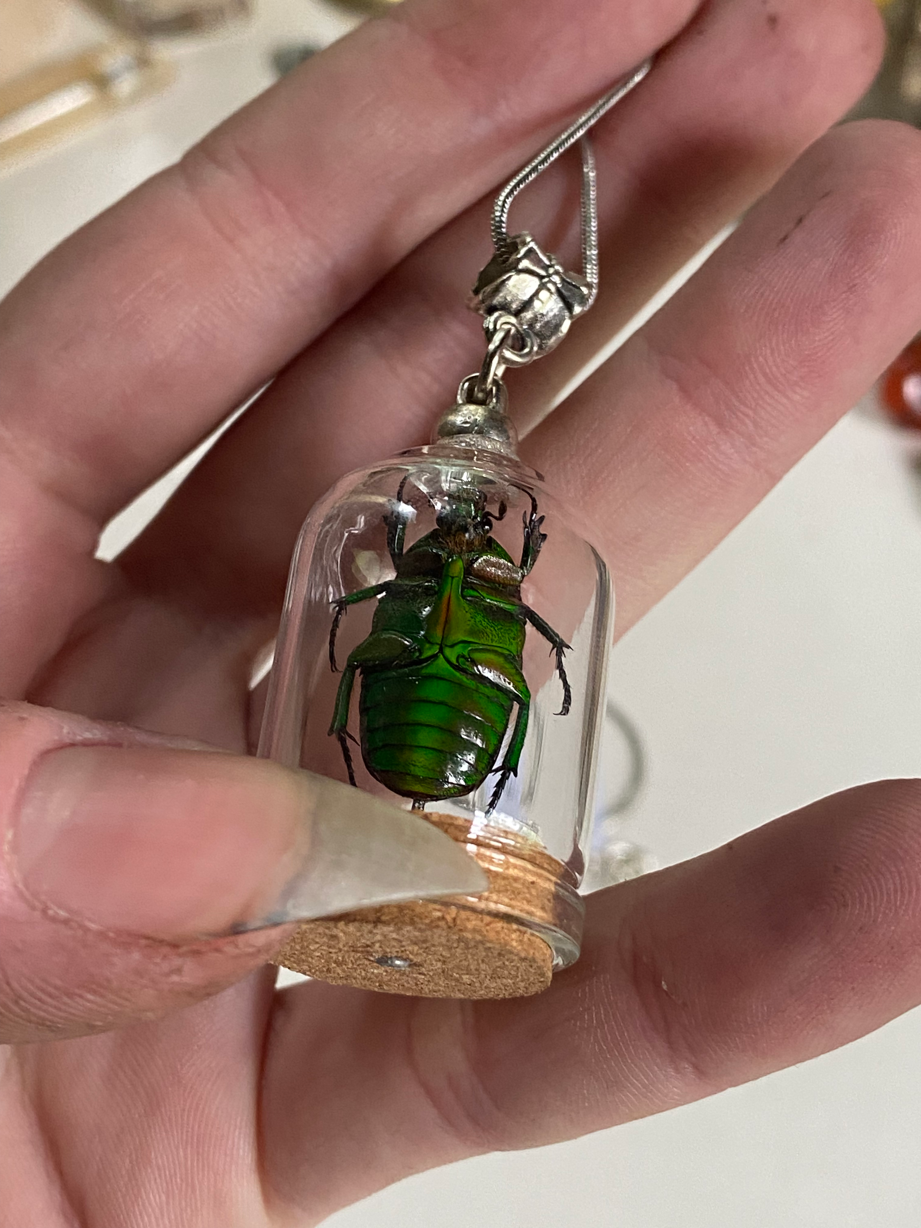 Green Scarab Beetle in Glass Dome Necklace image 5