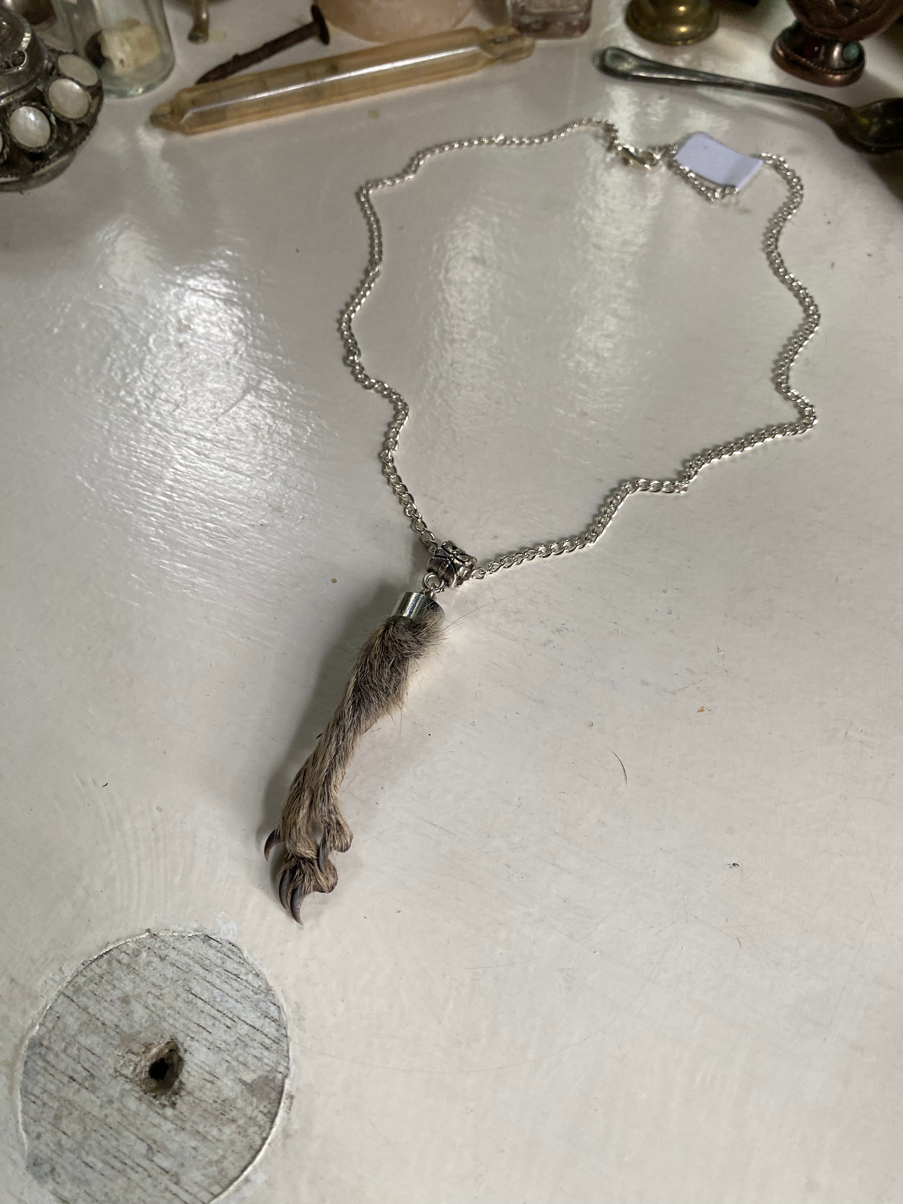 Squirrel Paw on a Chain image 0