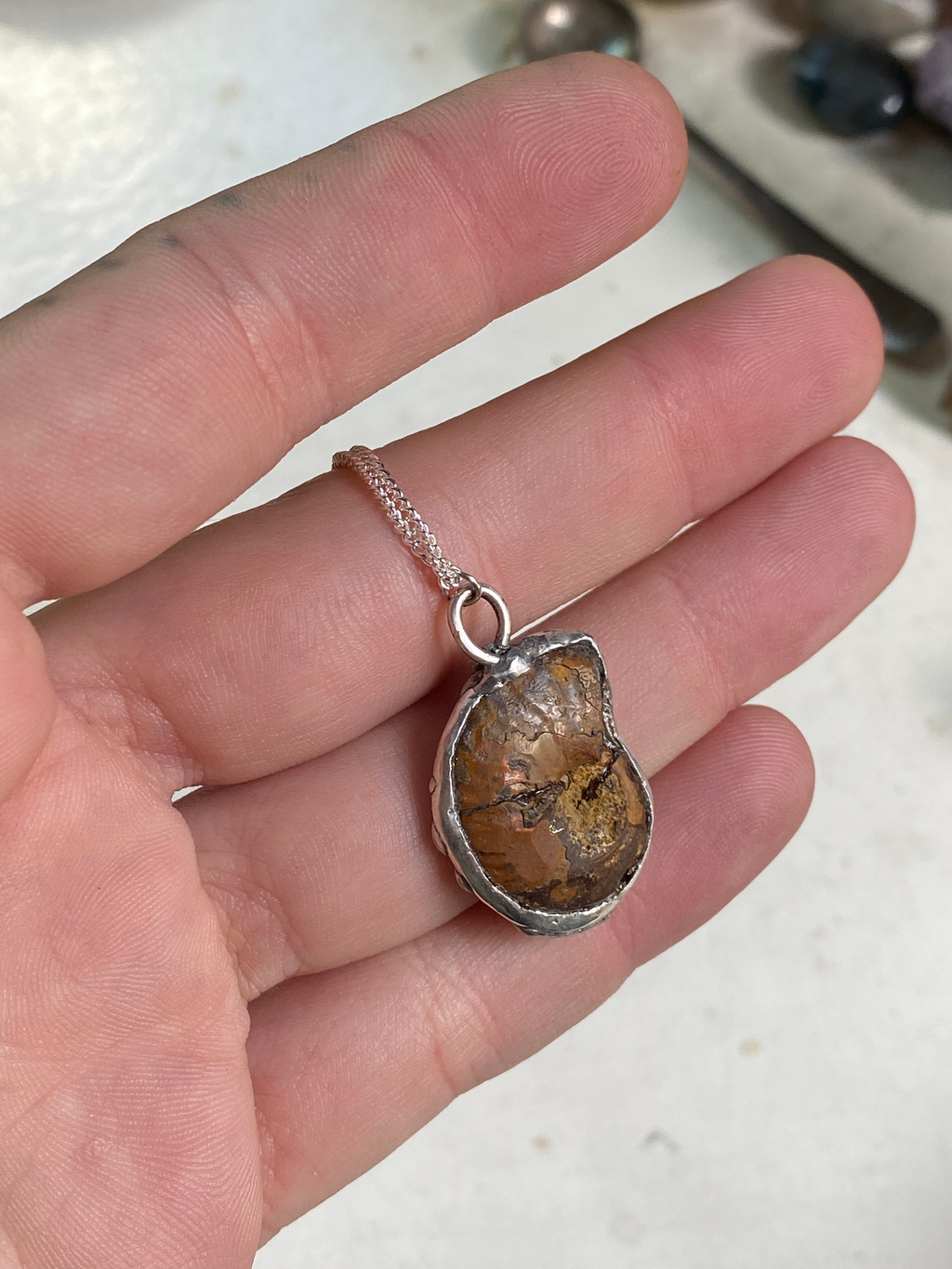 Fossil in Sterling Silver Frame Necklace image 5