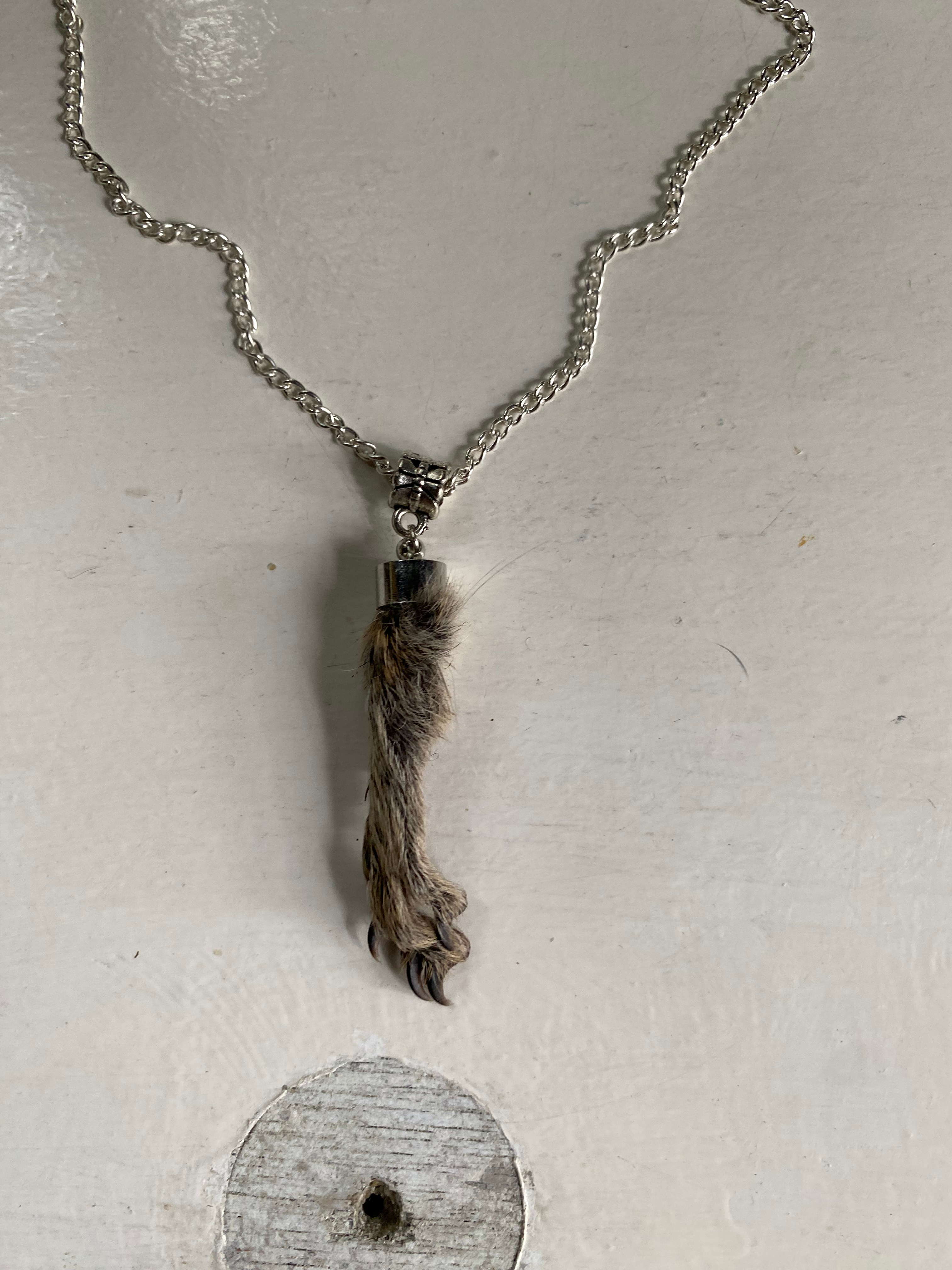 Squirrel Paw on a Chain image 1