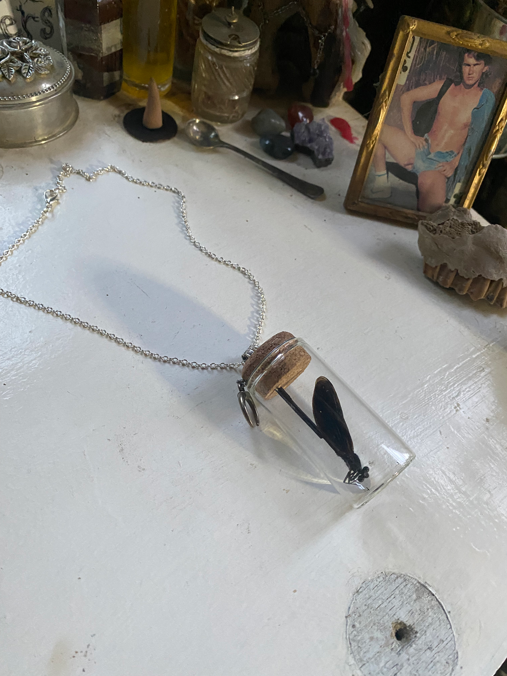 Dragonfly in Glass Jar Necklace image 1